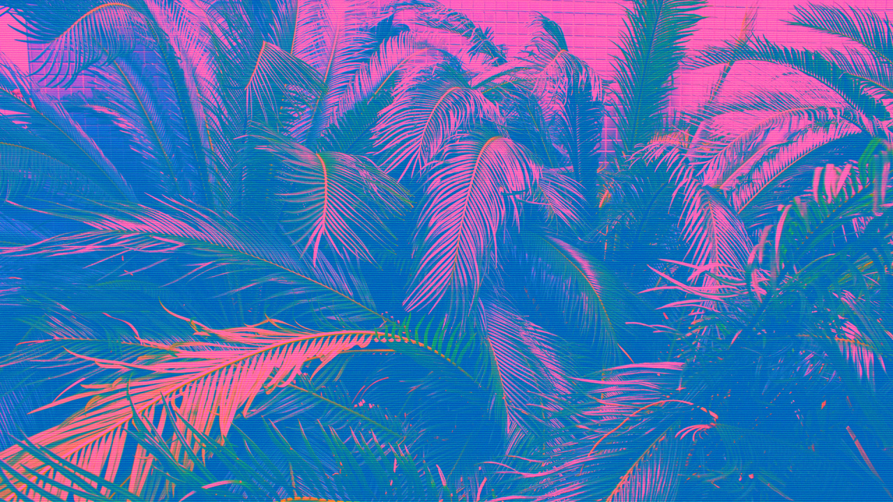 Seapunk, Plante Terrestre, L'herbe de la Famille, Magenta, la Floraison de la Plante. Wallpaper in 1280x720 Resolution