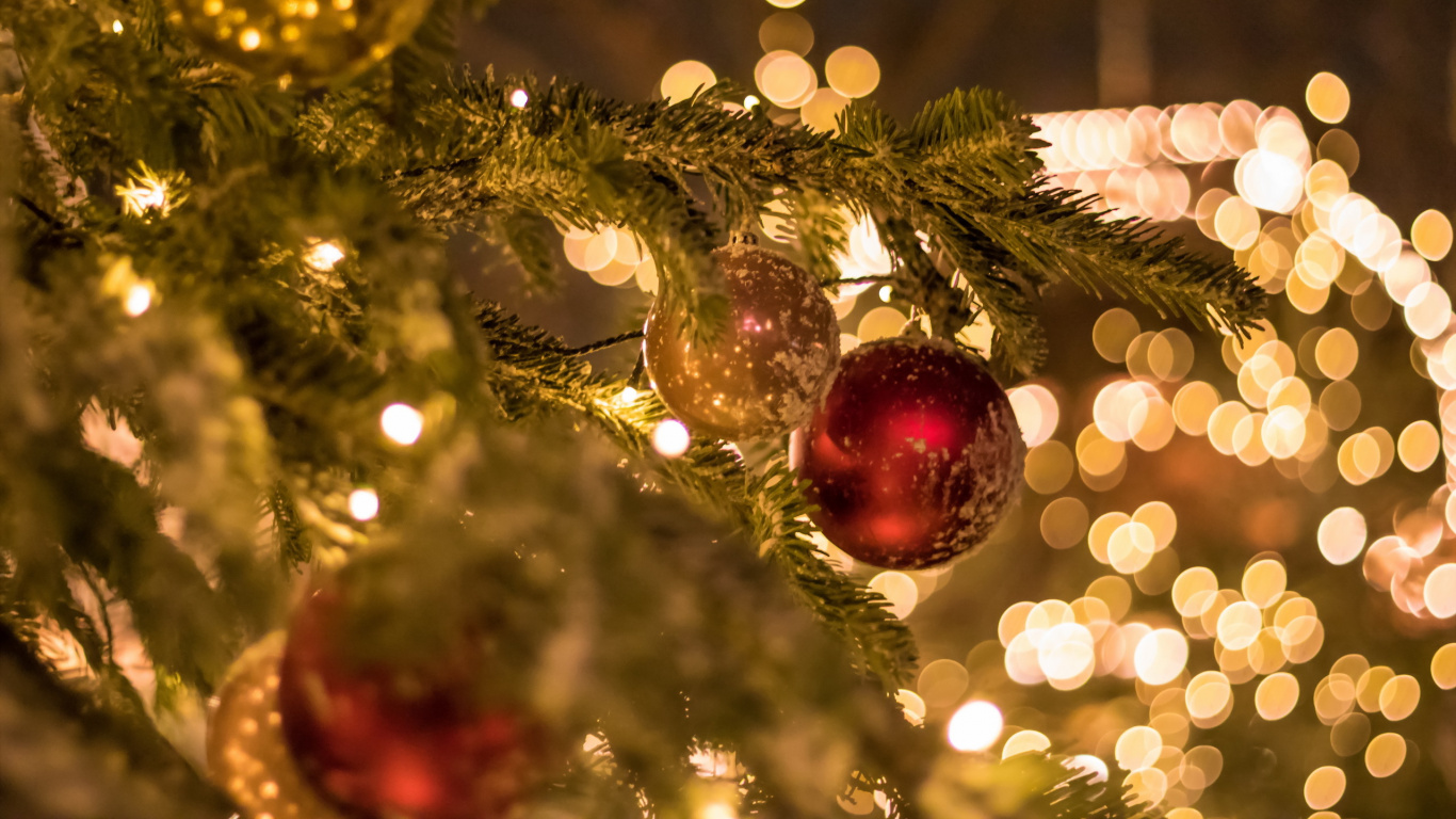 Christmas Tree, Christmas Day, Holiday, Christmas Lights, Christmas Ornament. Wallpaper in 1366x768 Resolution