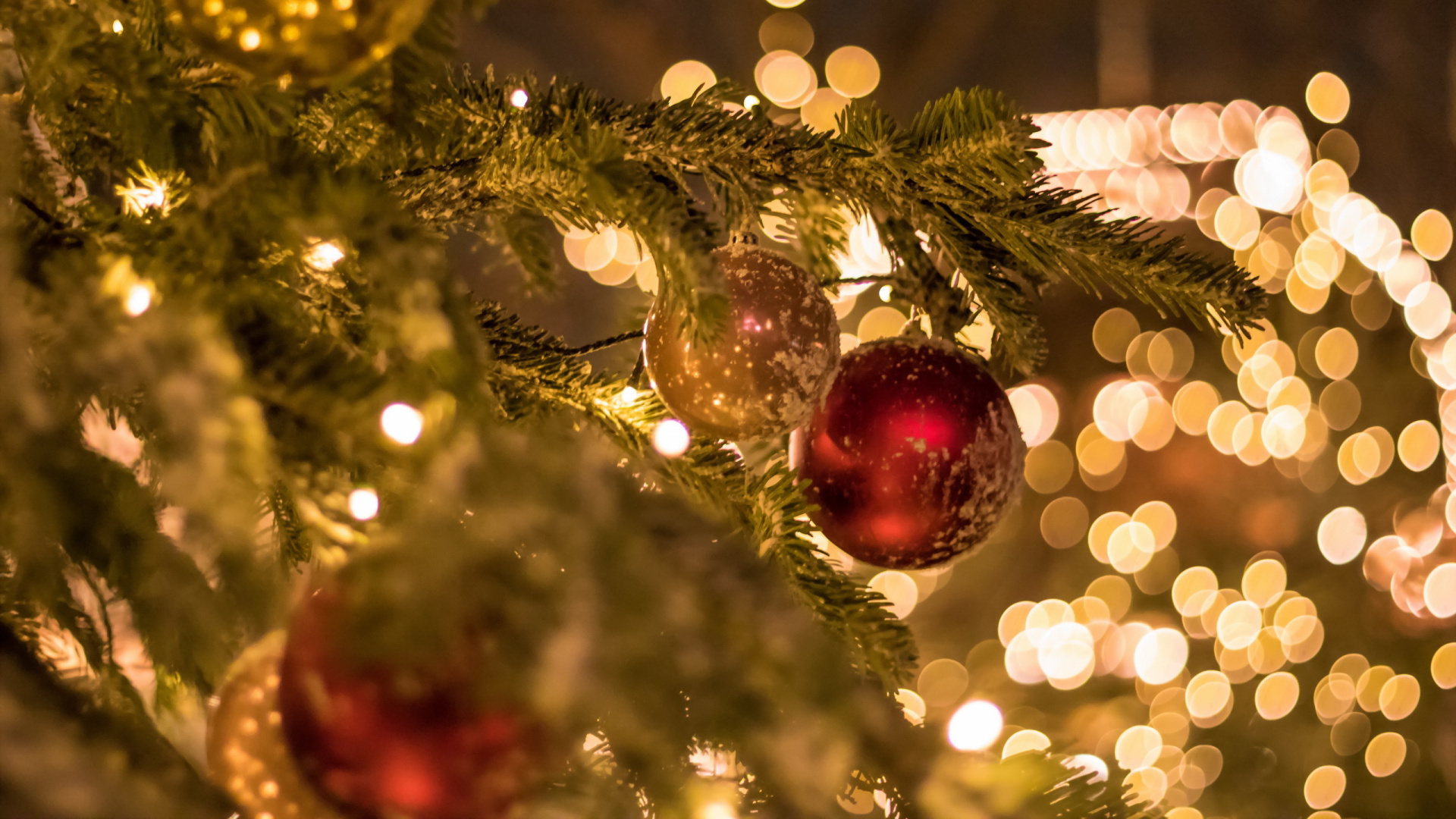 Christmas Tree, Christmas Day, Holiday, Christmas Lights, Christmas Ornament. Wallpaper in 1920x1080 Resolution