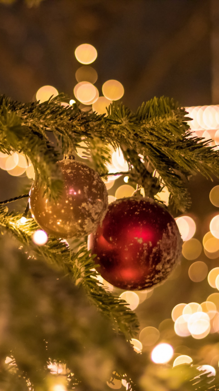 Weihnachtsbaum, Weihnachten, Weihnachtsbeleuchtung, Christmas Ornament, Weihnachtsdekoration. Wallpaper in 750x1334 Resolution