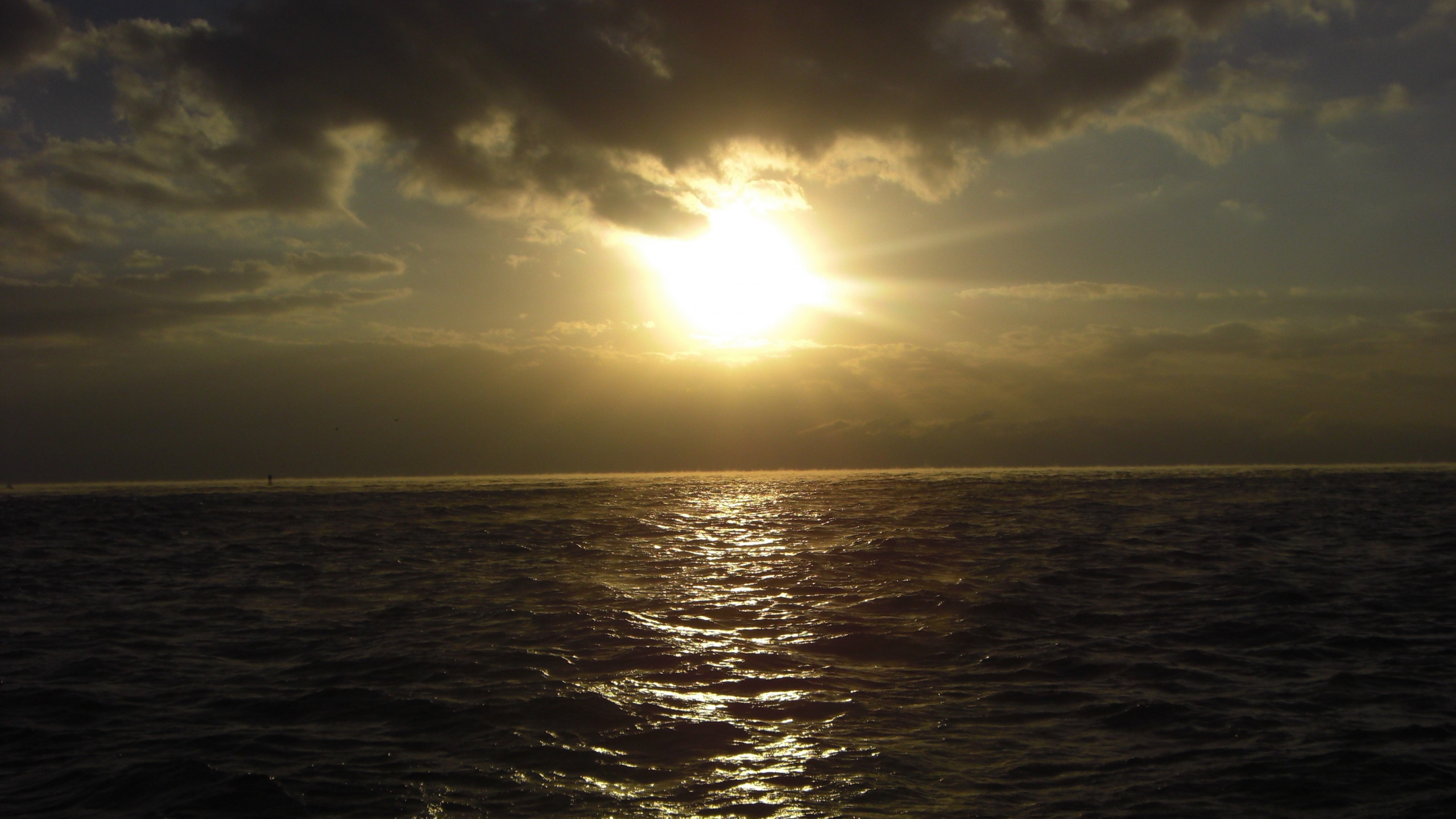 Body of Water Under Blue Sky During Daytime. Wallpaper in 2560x1440 Resolution