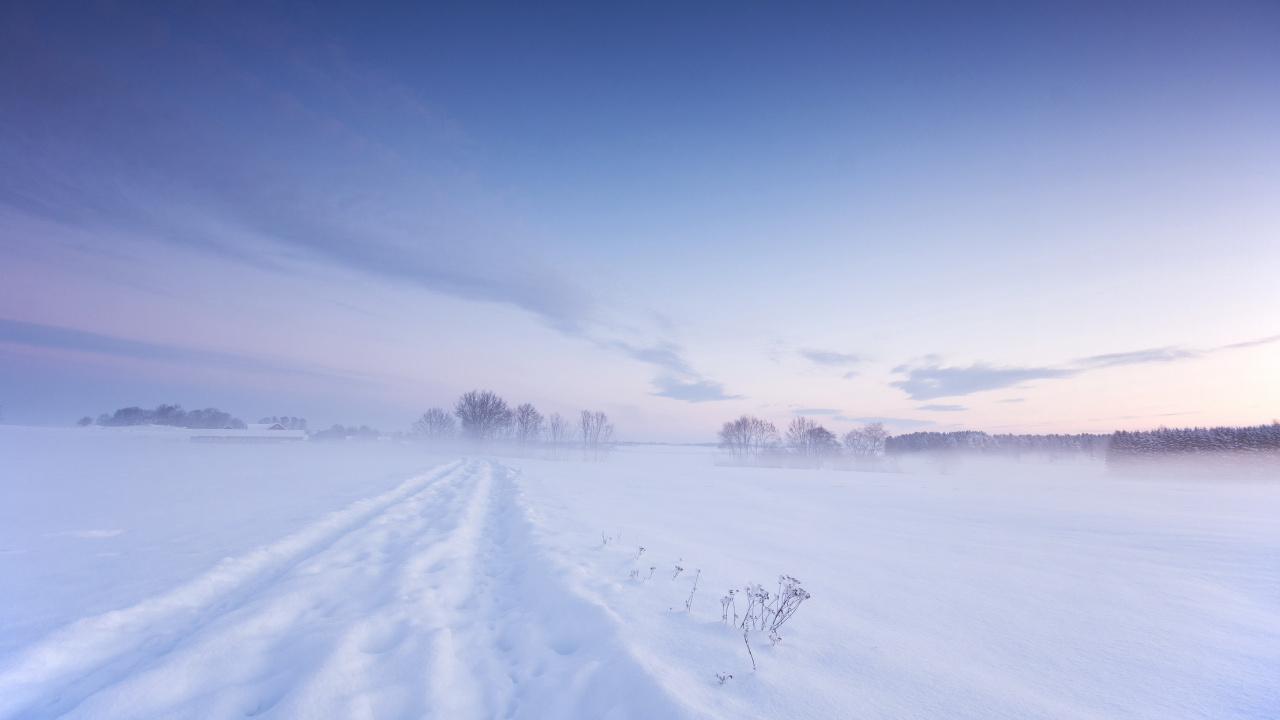 Campo Cubierto de Nieve Bajo un Cielo Azul Durante el Día. Wallpaper in 1280x720 Resolution