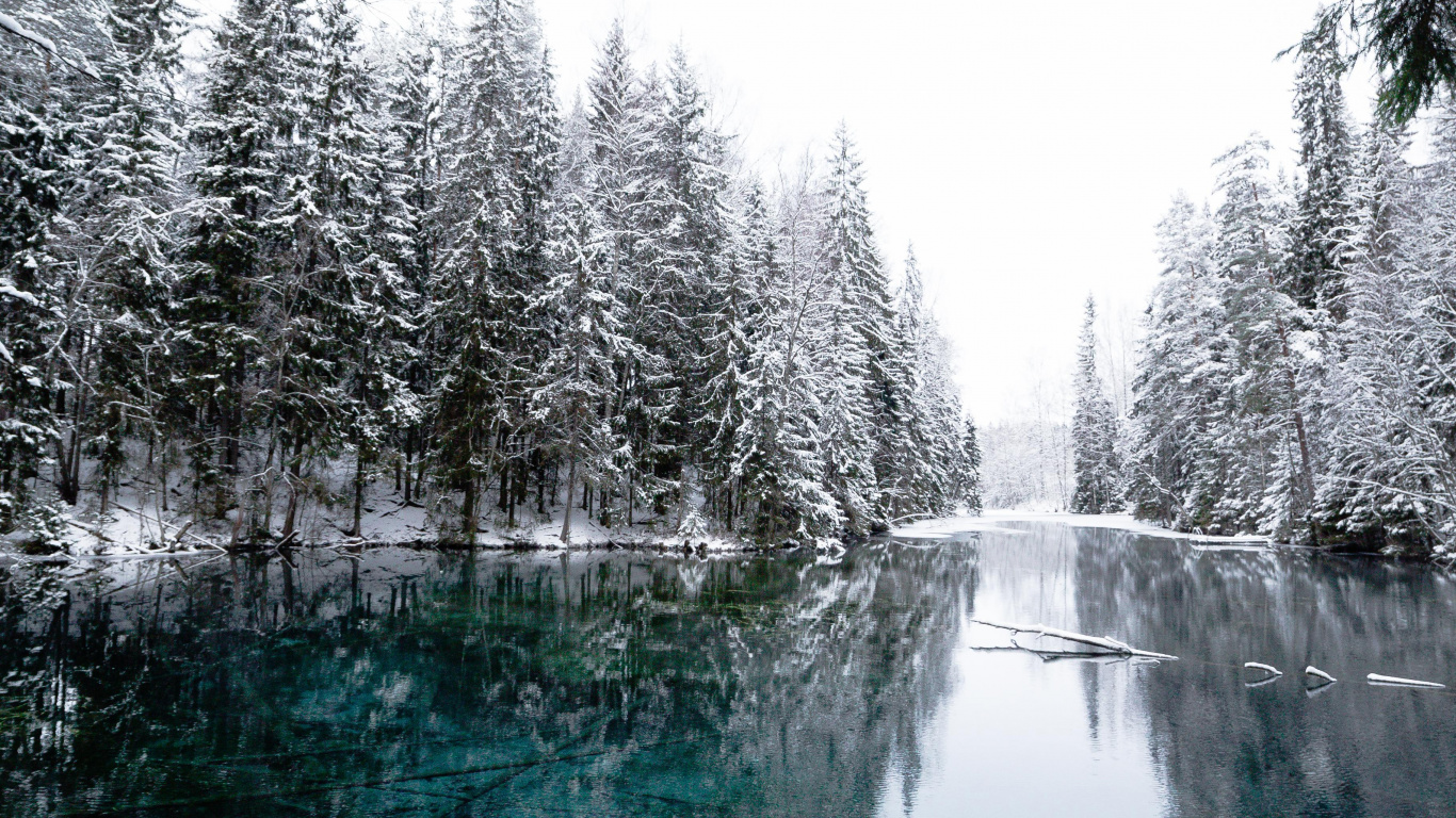 Winter, Schnee, Baum, Natur, Wasser. Wallpaper in 1366x768 Resolution