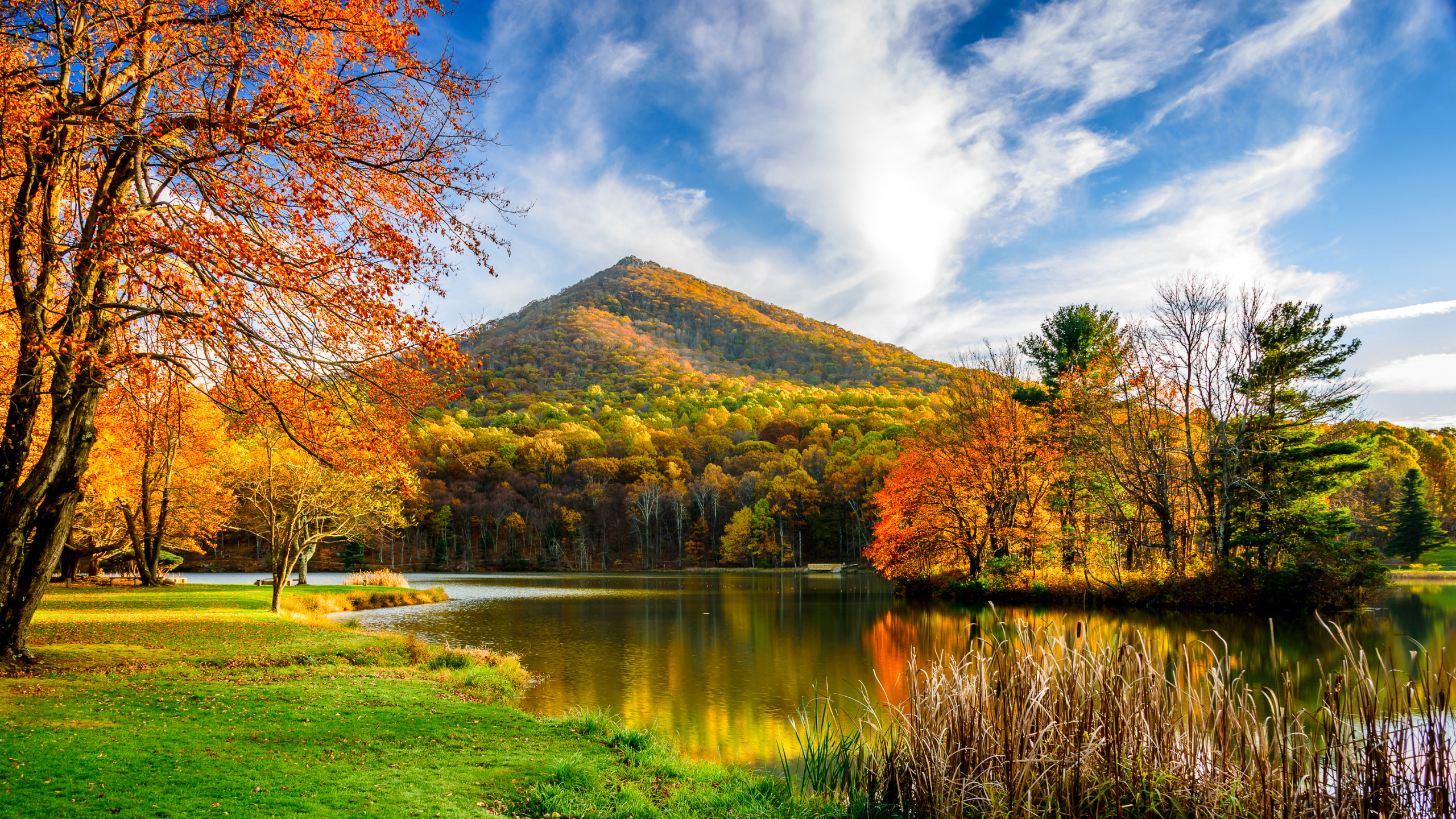 Green and Brown Mountain Near Body of Water Under Blue and White Cloudy Sky During Daytime. Wallpaper in 2560x1440 Resolution