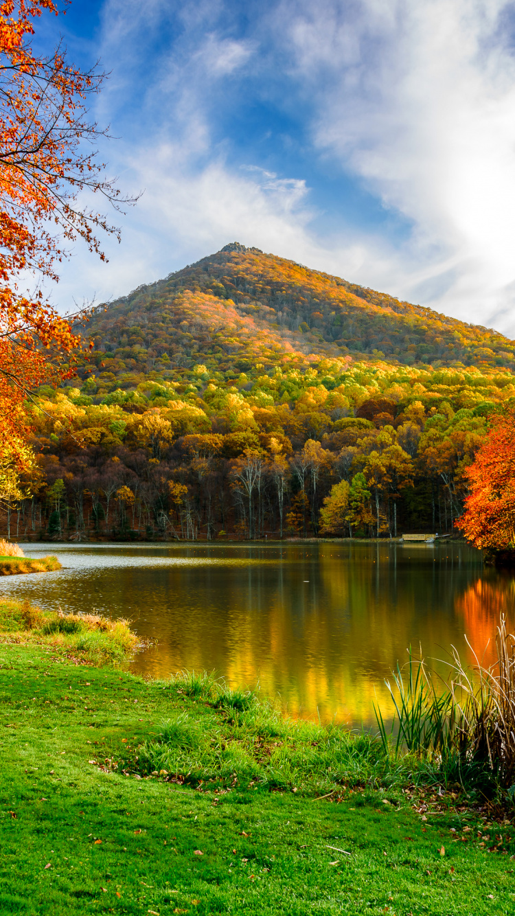 性质, 反射, 天空, 风景画, 池塘 壁纸 750x1334 允许