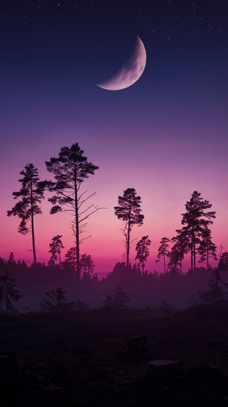 Nachhaltigkeit, Atmosphäre, Ökoregion, Mond, Licht. Wallpaper in 750x1334 Resolution