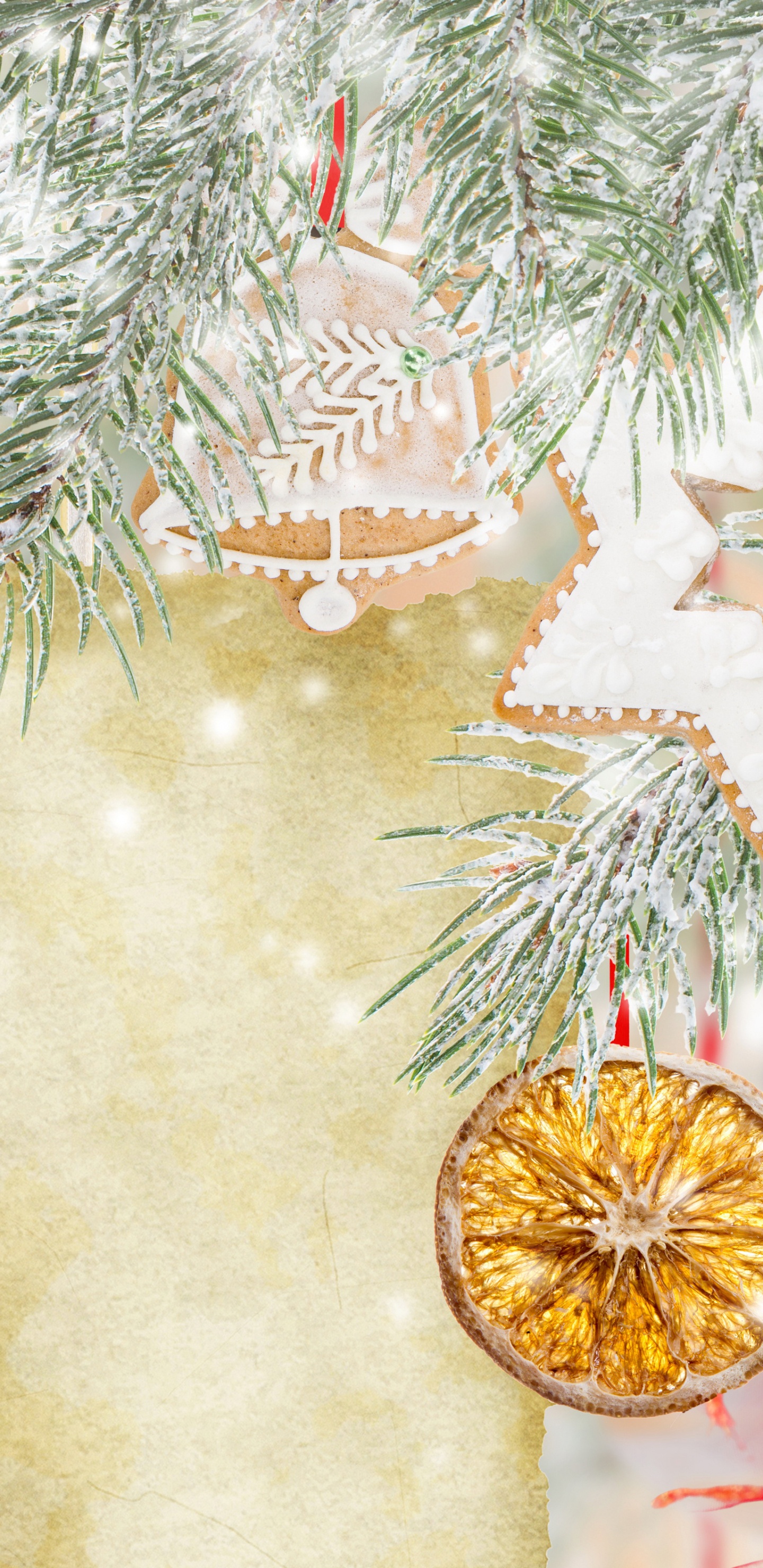 Christmas Day, Christmas Tree, Christmas Ornament, Fir, Christmas Decoration. Wallpaper in 1440x2960 Resolution