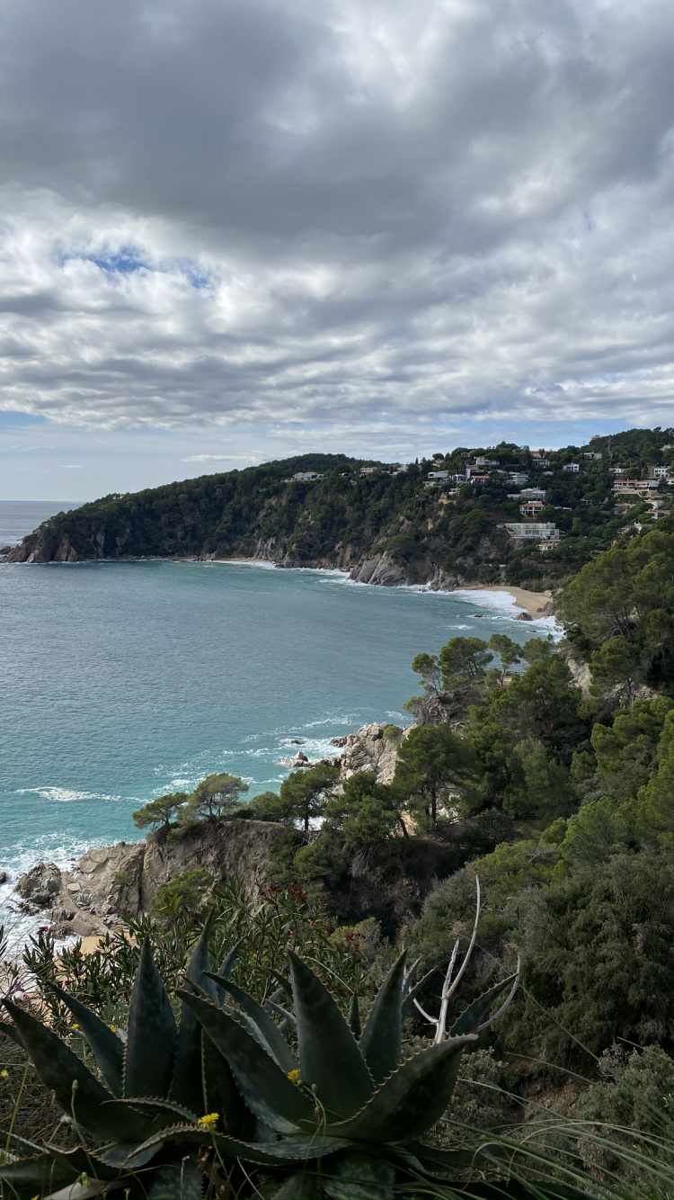 Coast, Vegetation, Cloud, Plant Community, Shore. Wallpaper in 750x1334 Resolution