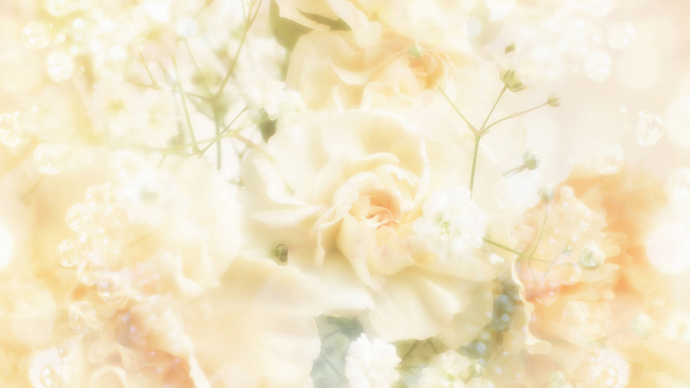 White Flower in Close up Photography. Wallpaper in 1366x768 Resolution