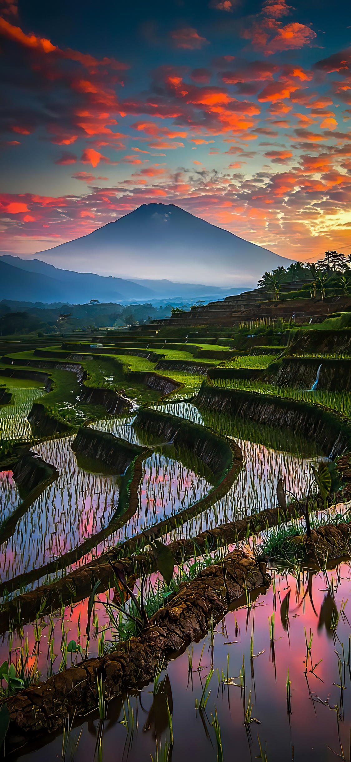 Bali, Zentral-Java, Cloud, Naturlandschaft, Menschen in Der Natur. Wallpaper in 1125x2436 Resolution