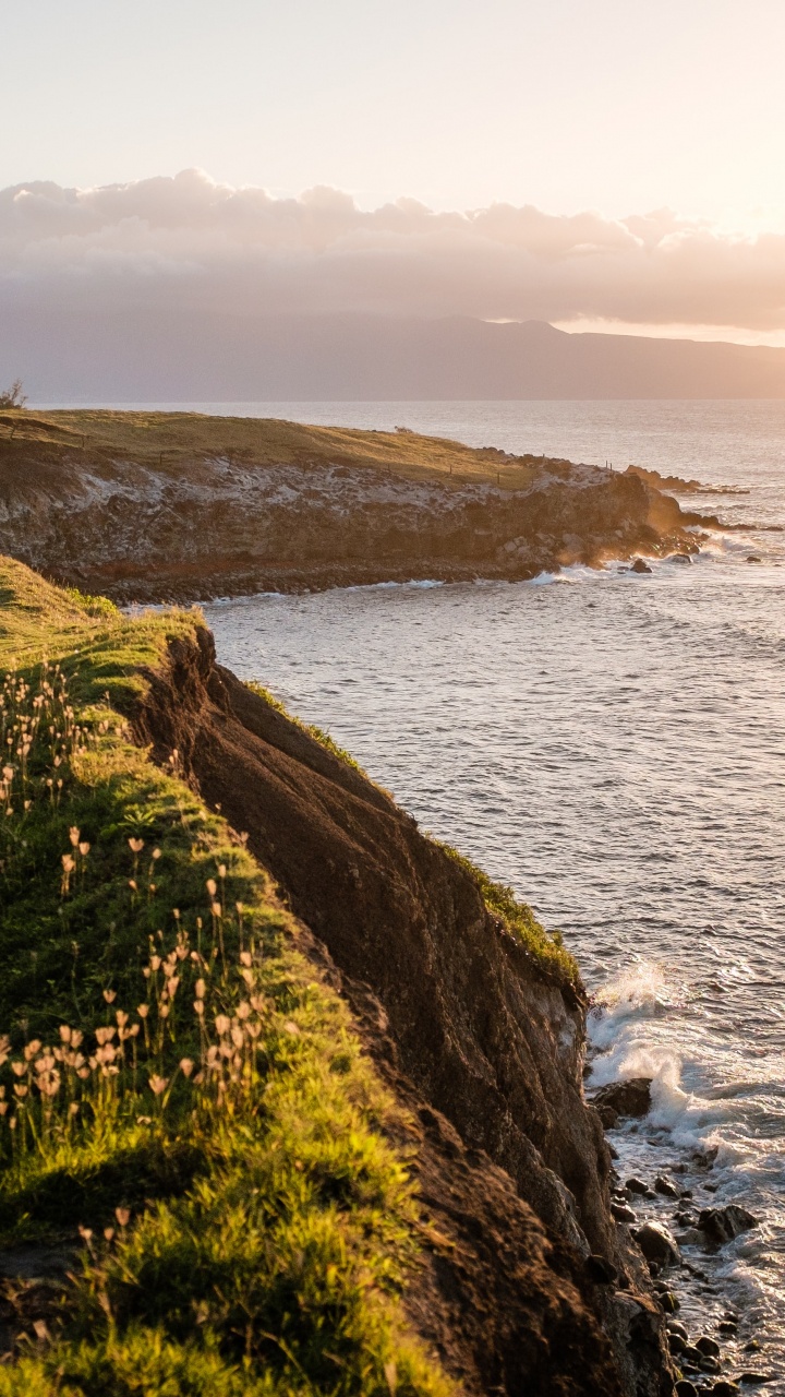 Rafting en Línea Roja, Agua, Paisaje Natural, la Luz Del Sol, Madera. Wallpaper in 720x1280 Resolution