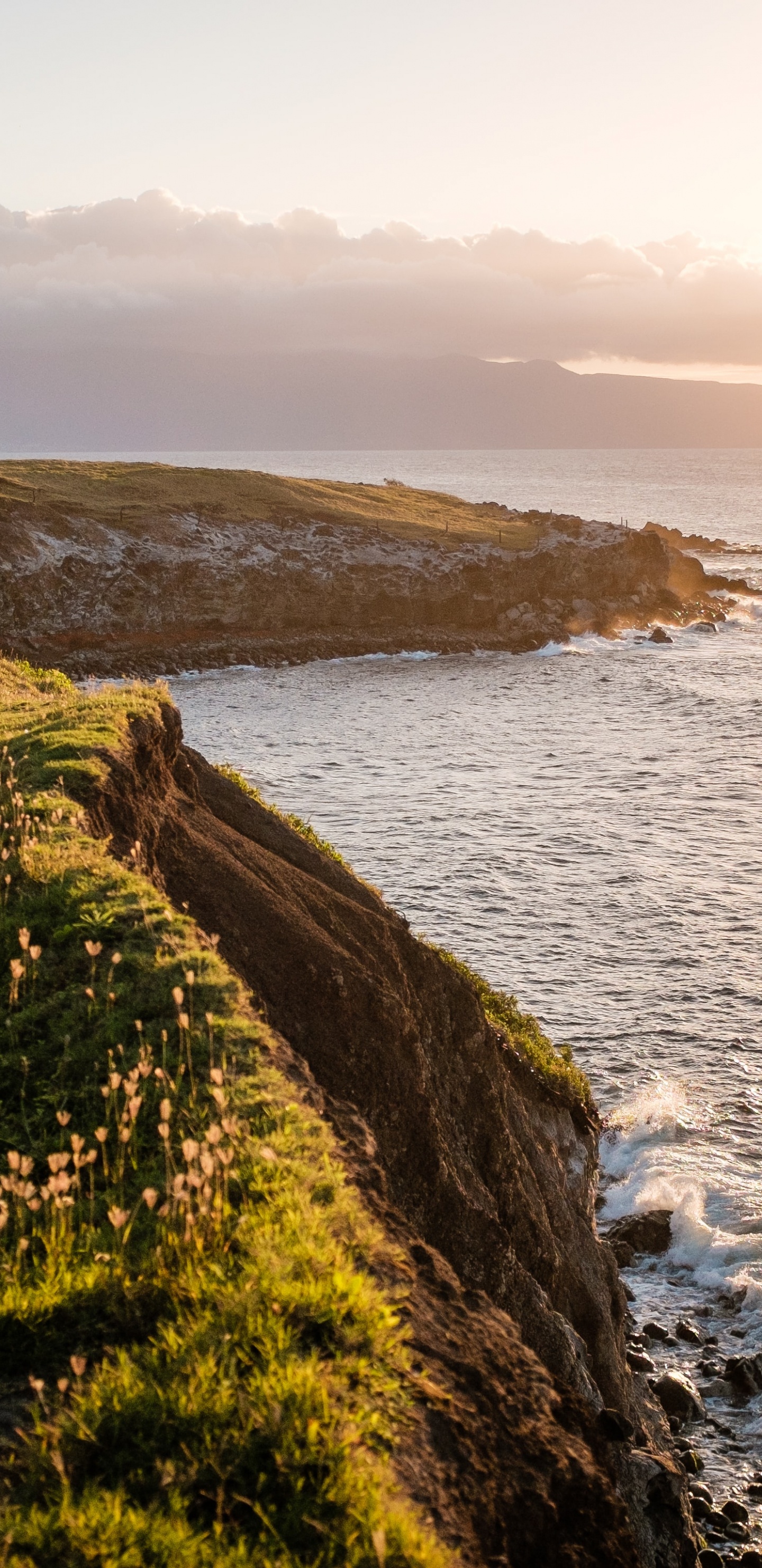 Redline Rafting, Cloud, Water, Plant, Natural Landscape. Wallpaper in 1440x2960 Resolution