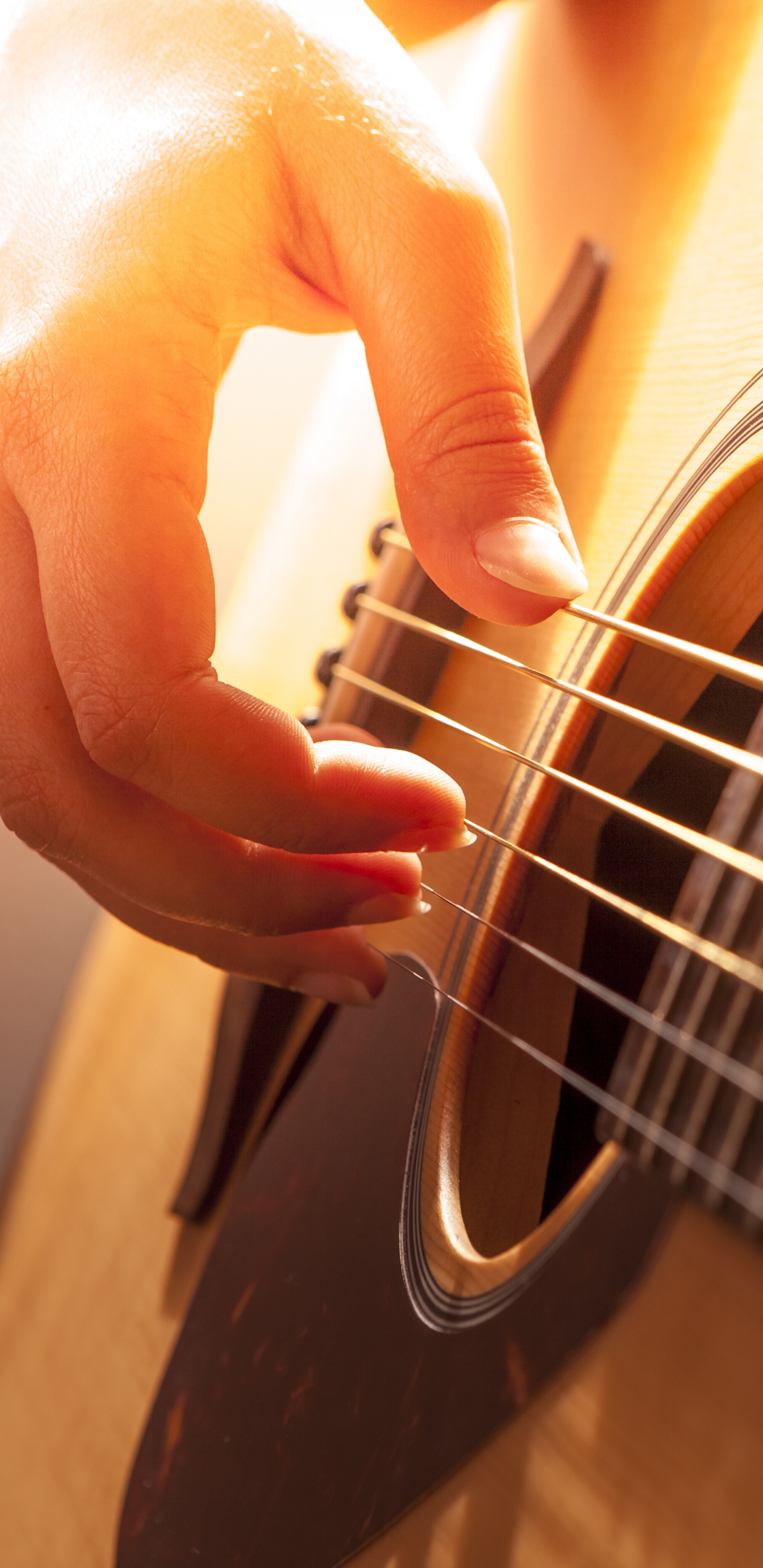 Guitare, Guitare Acoustique, Guitare Basse, Instrument à Cordes, Instruments à Cordes Pincées. Wallpaper in 1440x2960 Resolution