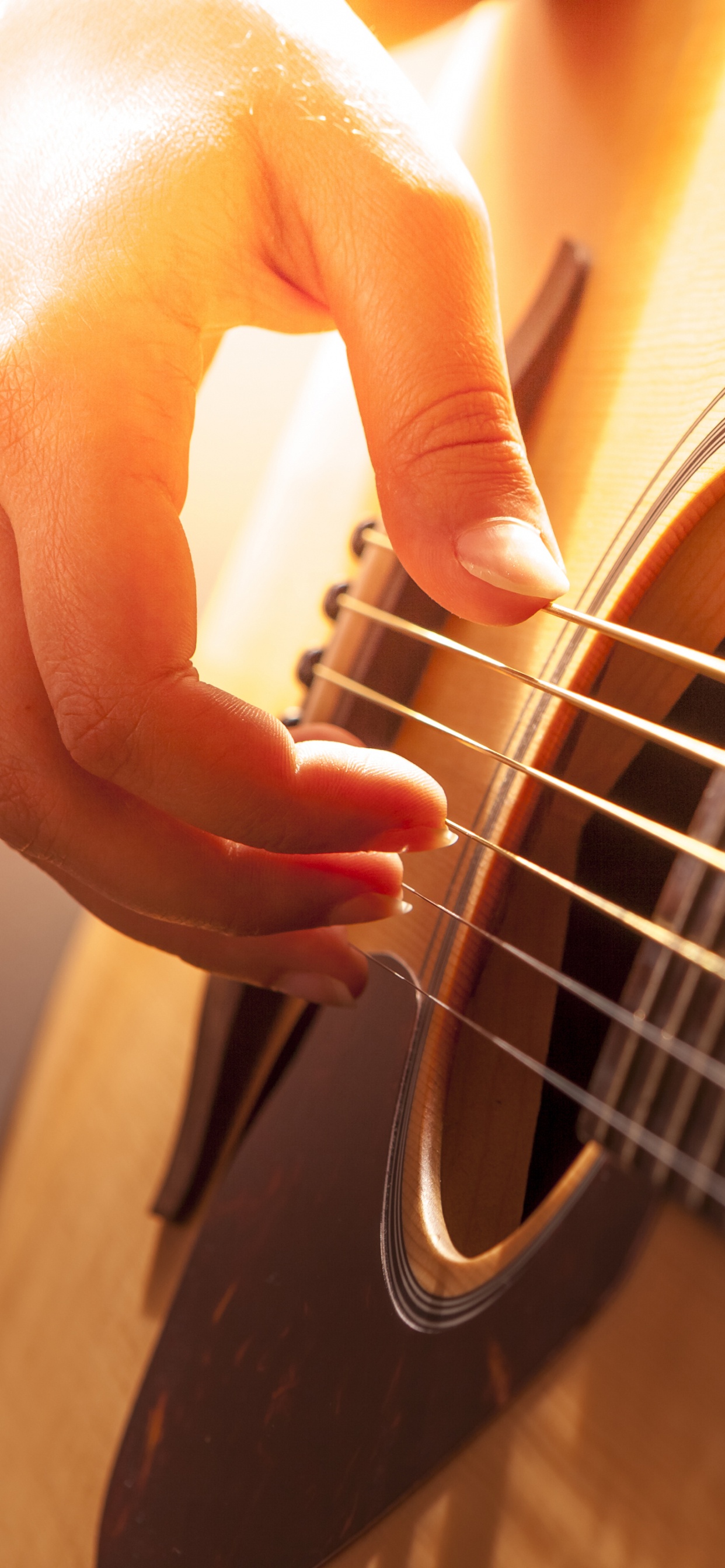 Guitar, Acoustic Guitar, Bass Guitar, String Instrument, Plucked String Instruments. Wallpaper in 1242x2688 Resolution