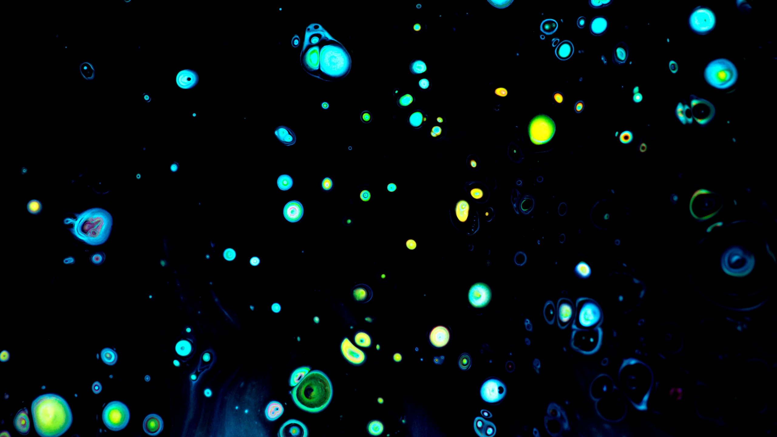 2021, Flüssigkeit, Wasser, Aqua, Kunst. Wallpaper in 2560x1440 Resolution