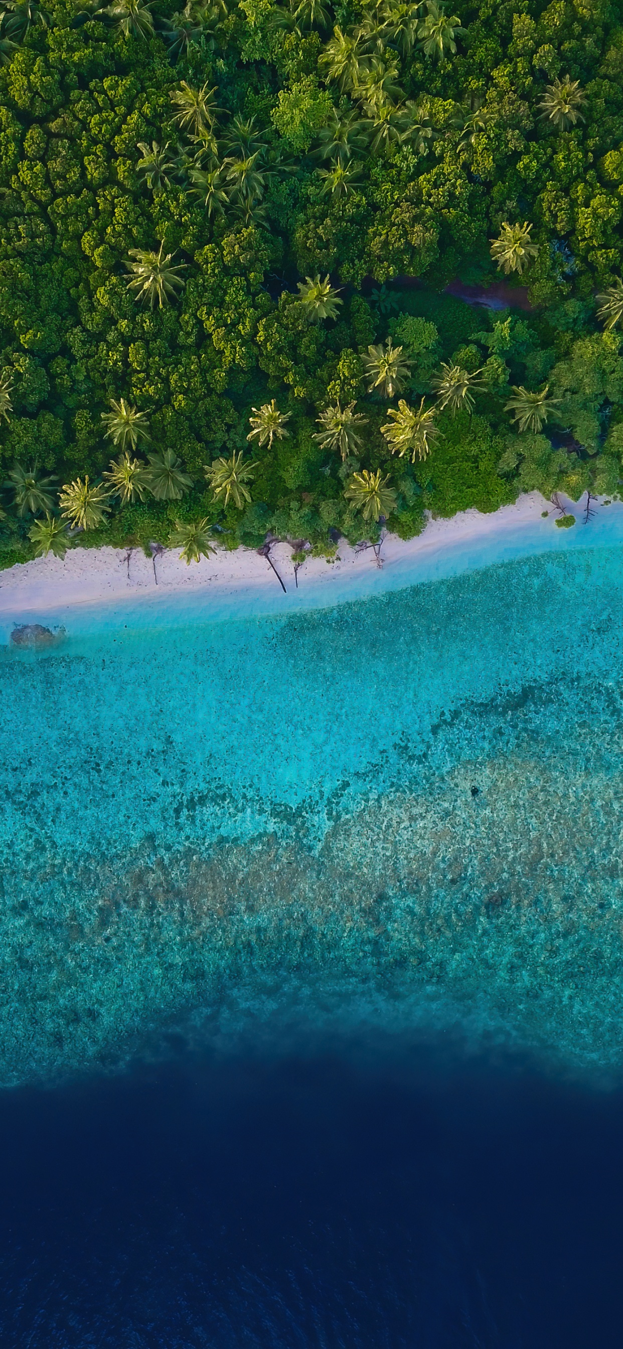 性质, 水资源, Azure, 自然景观, 矩形 壁纸 1242x2688 允许