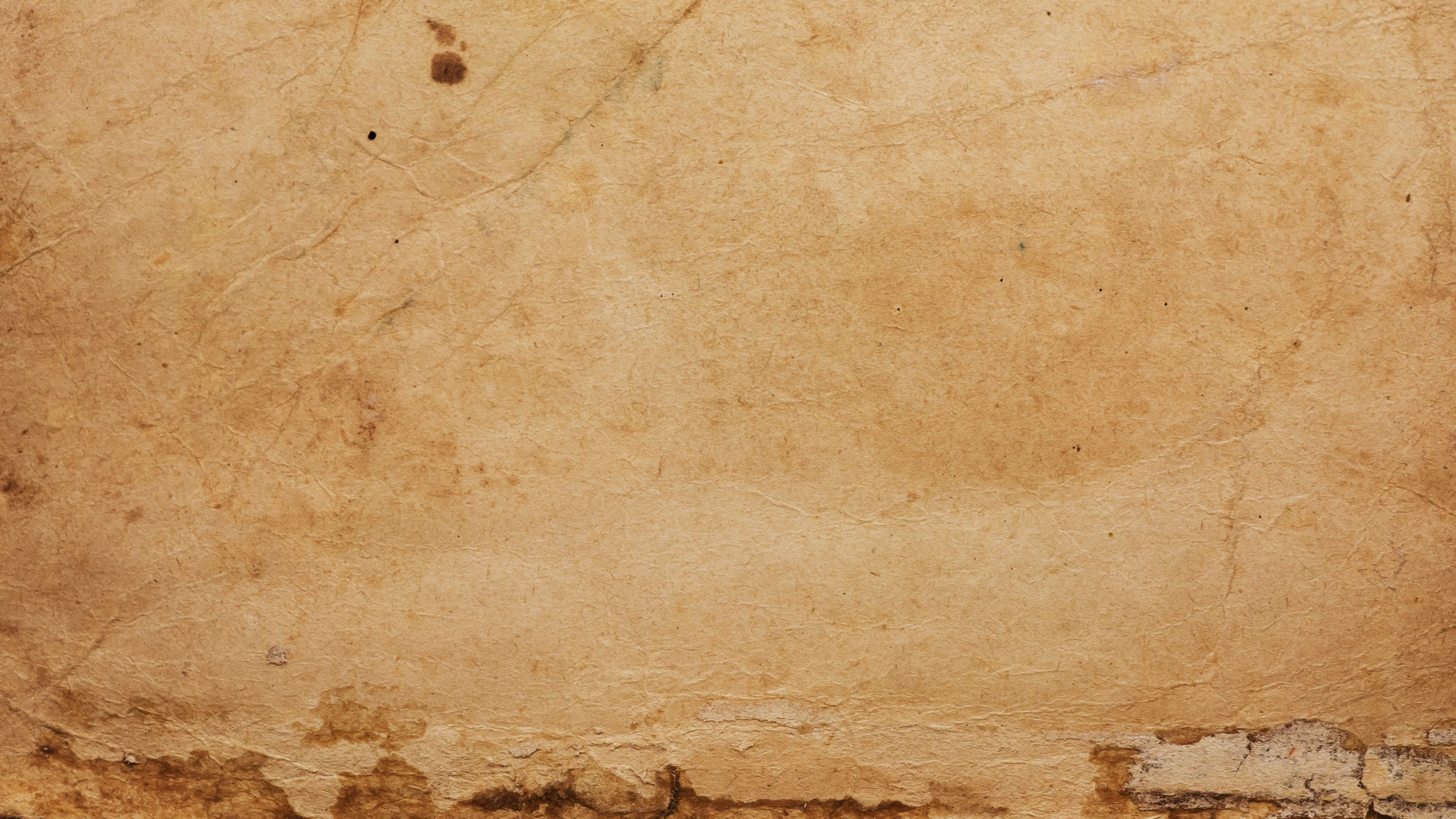 Piso de Concreto Marrón y Blanco. Wallpaper in 2560x1440 Resolution