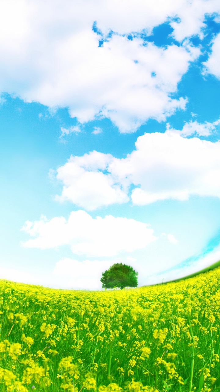 Green Grass Field Under Blue Sky and White Clouds During Daytime. Wallpaper in 720x1280 Resolution