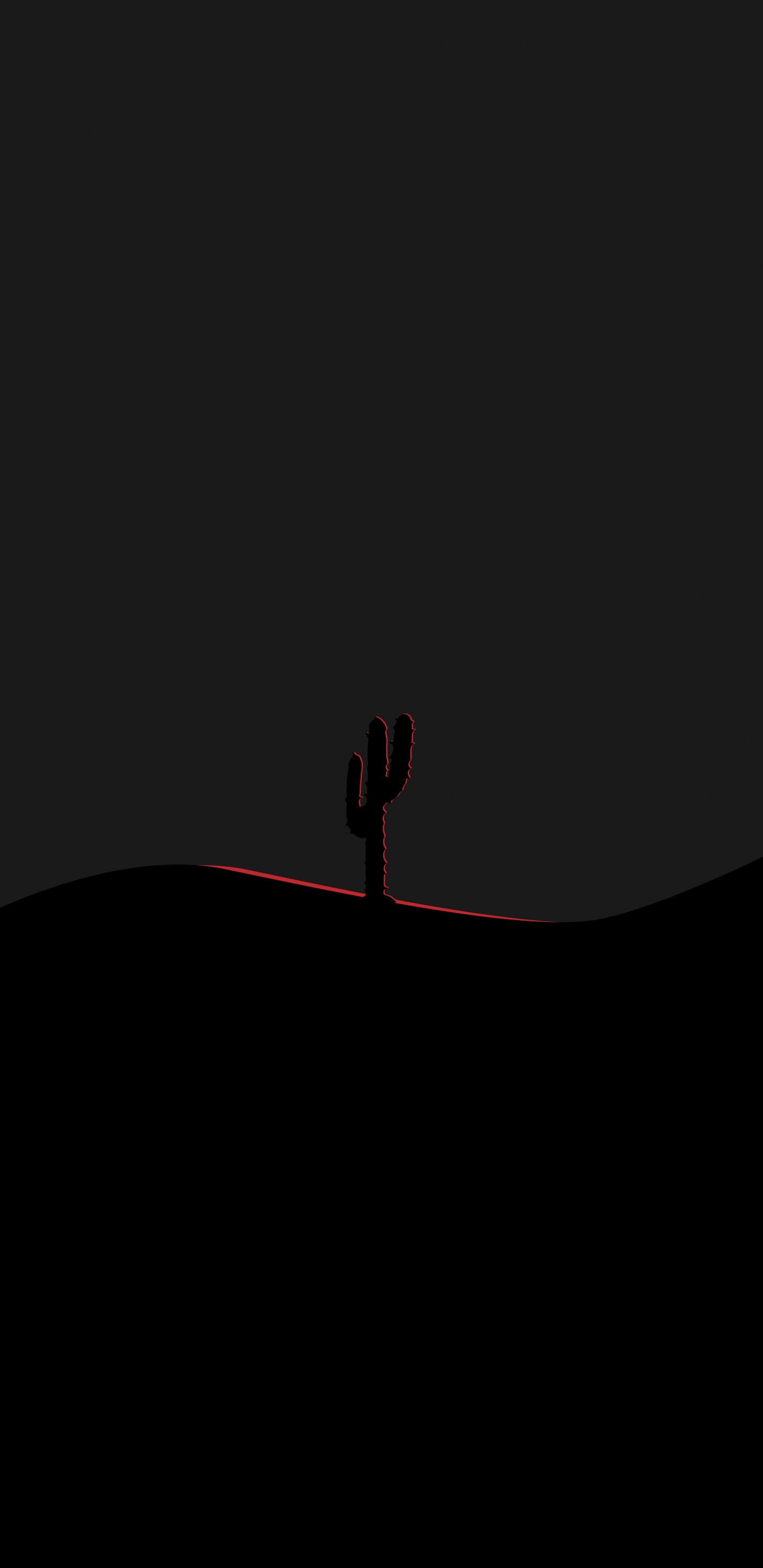 Cactus, Obscurité, Marron, Saguaro, Animation. Wallpaper in 1440x2960 Resolution
