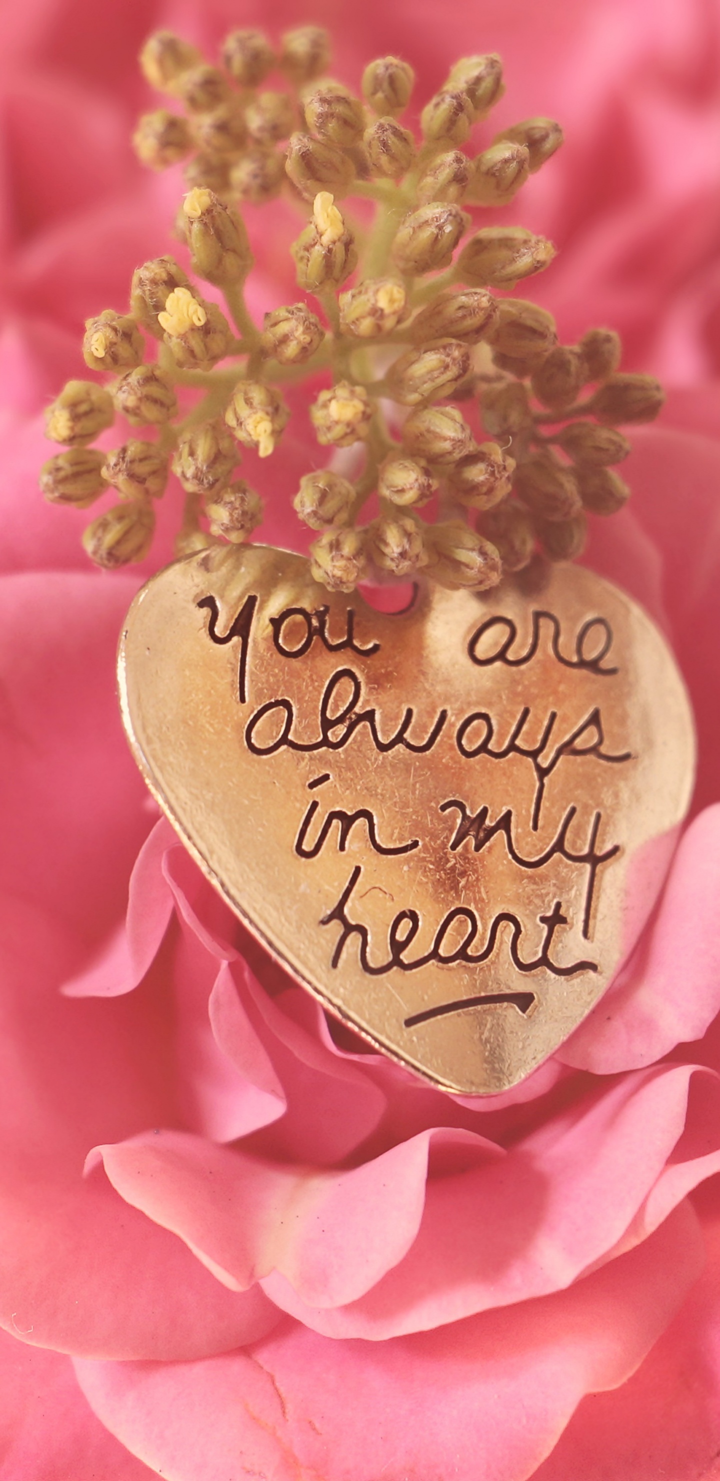 el Día de San Valentín, Rosa, Las Rosas de Jardín, Pétalo, Las Flores Cortadas. Wallpaper in 1440x2960 Resolution