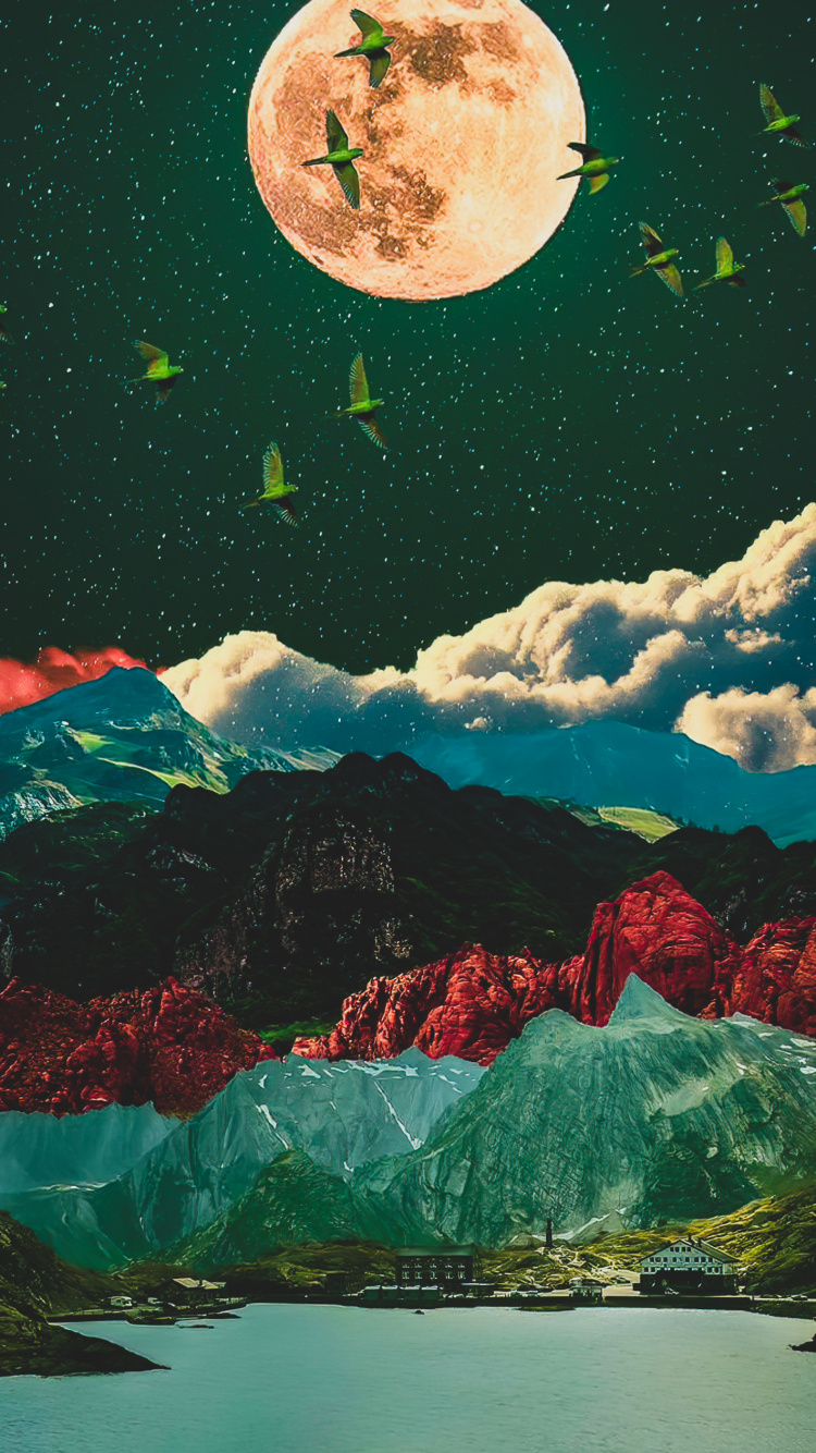 Nature, Green, Environnement Naturel, Art, Paysage Naturel. Wallpaper in 750x1334 Resolution