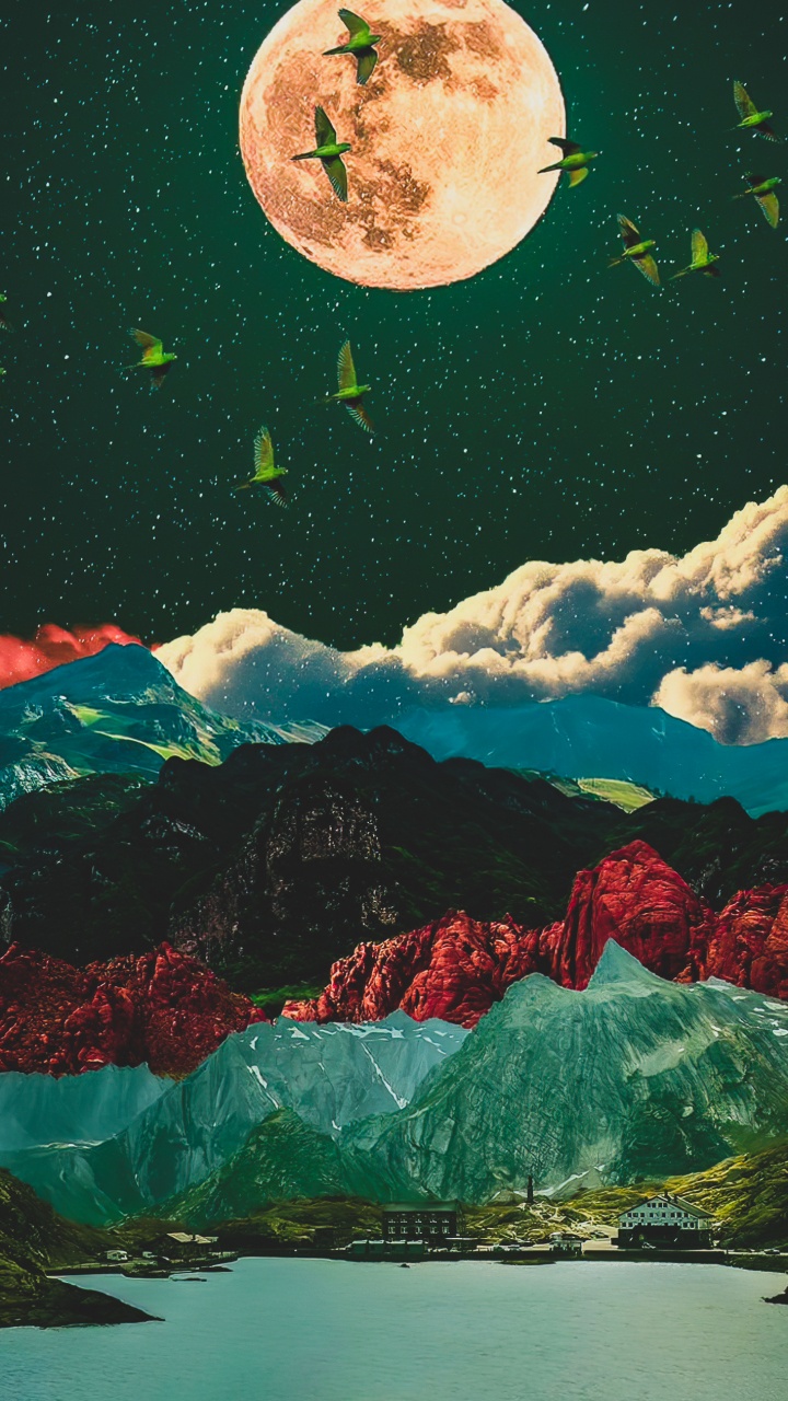 性质, 绿色的, 自然环境, 艺术, 自然景观 壁纸 720x1280 允许