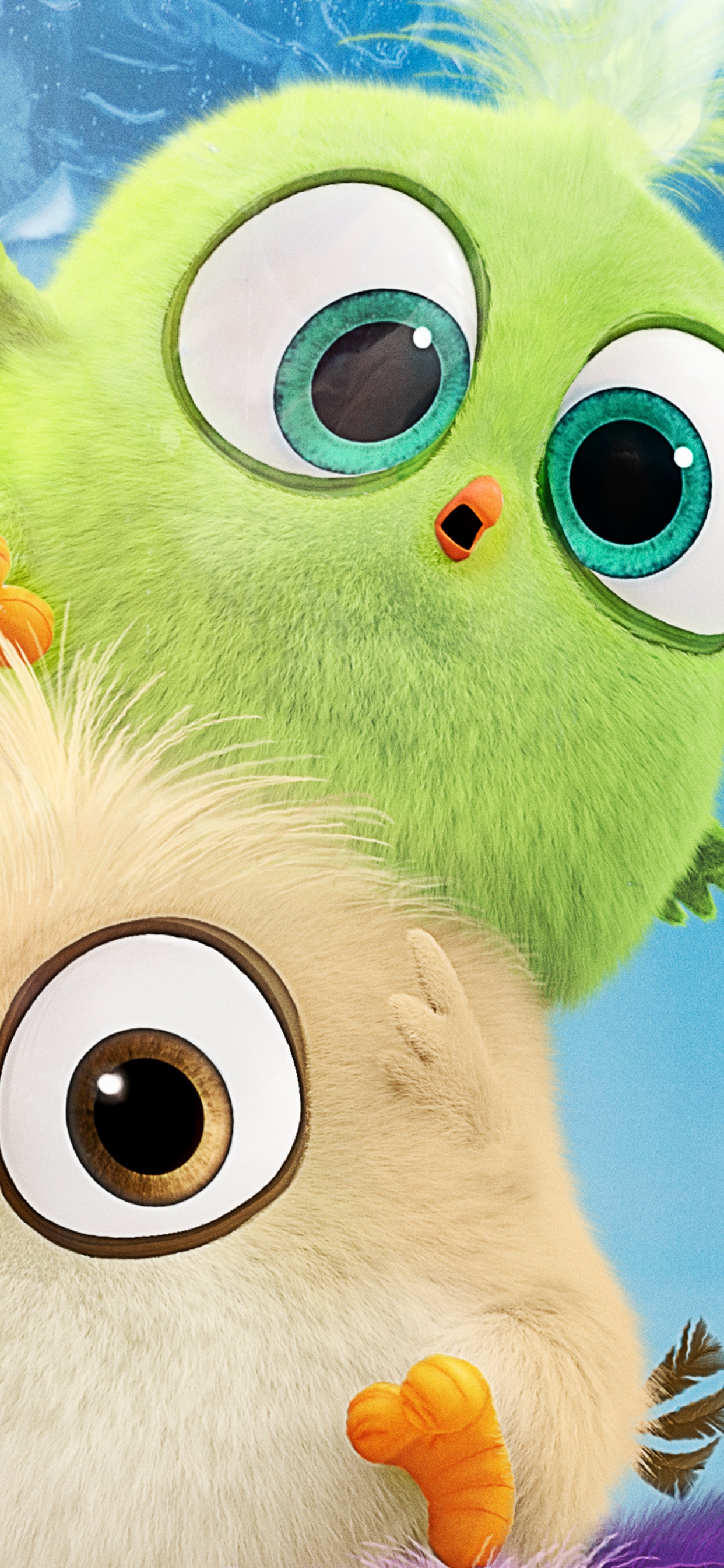 Personaje de Dibujos Animados de Pájaro Amarillo y Blanco. Wallpaper in 1242x2688 Resolution