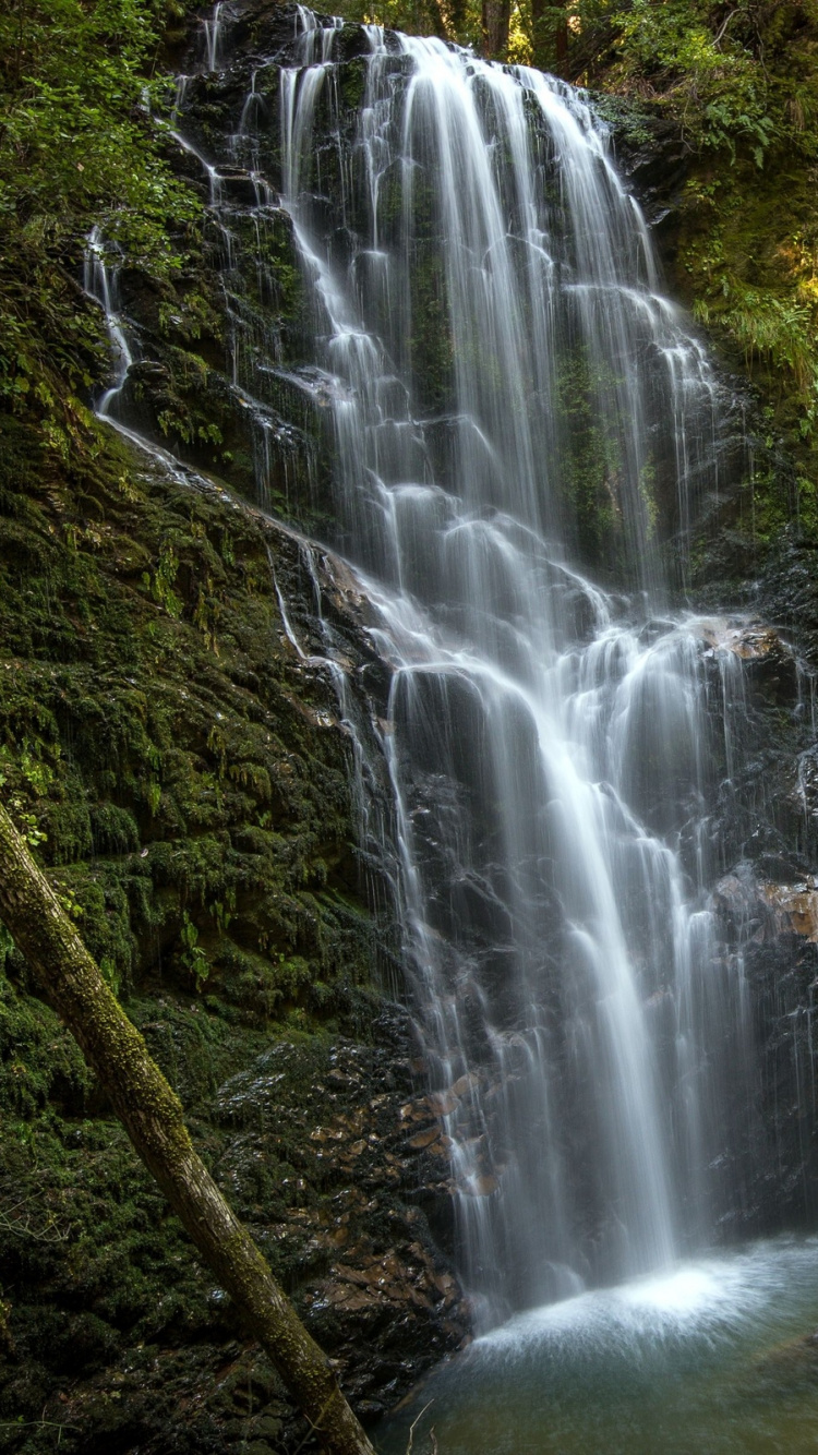 Water Falls in The Forest. Wallpaper in 750x1334 Resolution