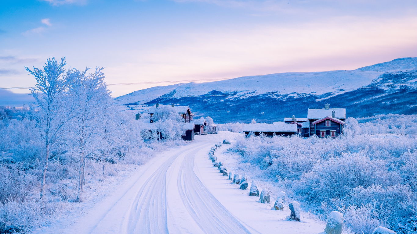Maisons Couvertes de Neige Près Des Arbres Pendant la Journée. Wallpaper in 1366x768 Resolution