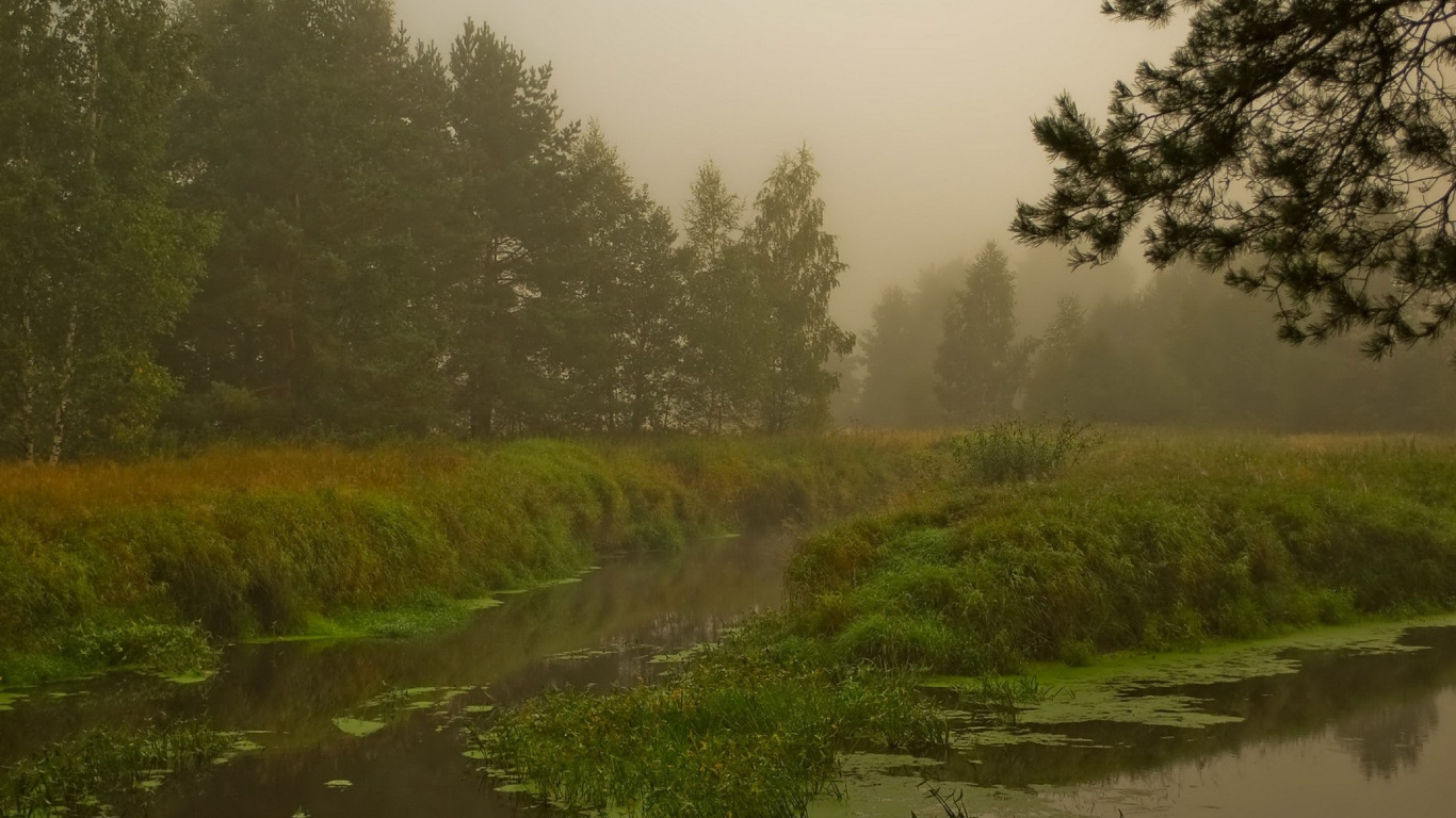 Green Grass Field Near River. Wallpaper in 1366x768 Resolution