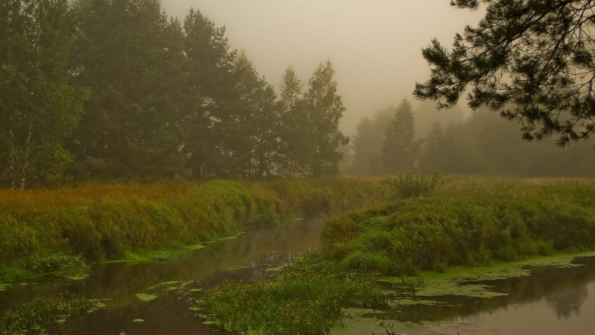 Green Grass Field Near River. Wallpaper in 1920x1080 Resolution