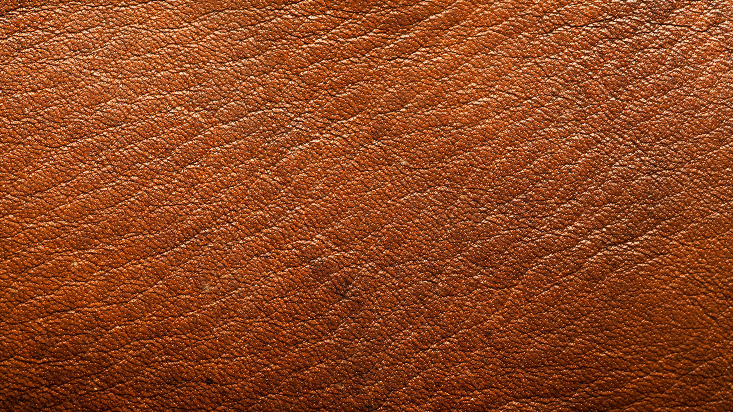 皮革, 橙色, 棕色, 木, 隐藏 壁纸 2560x1440 允许