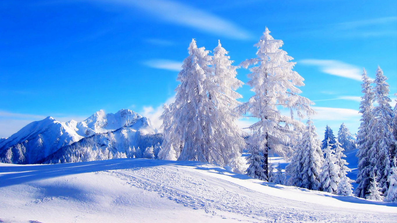 Snow Covered Trees and Mountains During Daytime. Wallpaper in 1366x768 Resolution