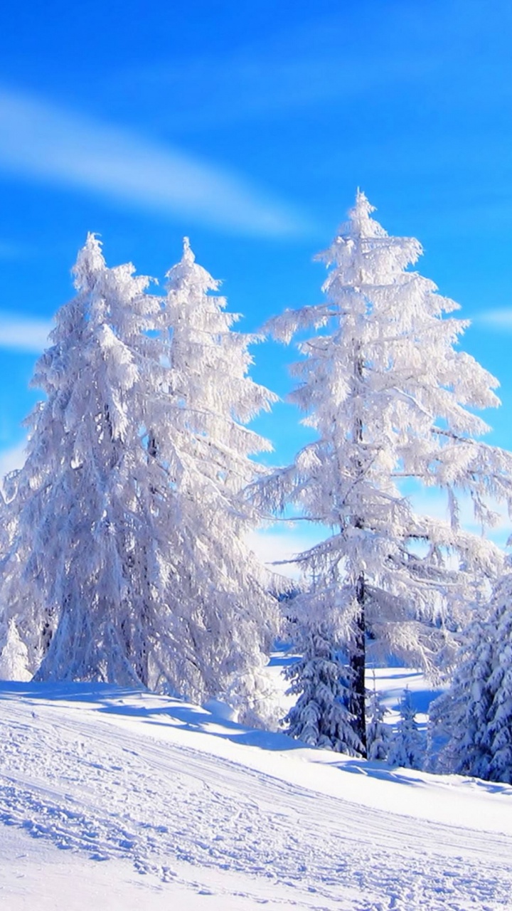 Snow Covered Trees and Mountains During Daytime. Wallpaper in 720x1280 Resolution