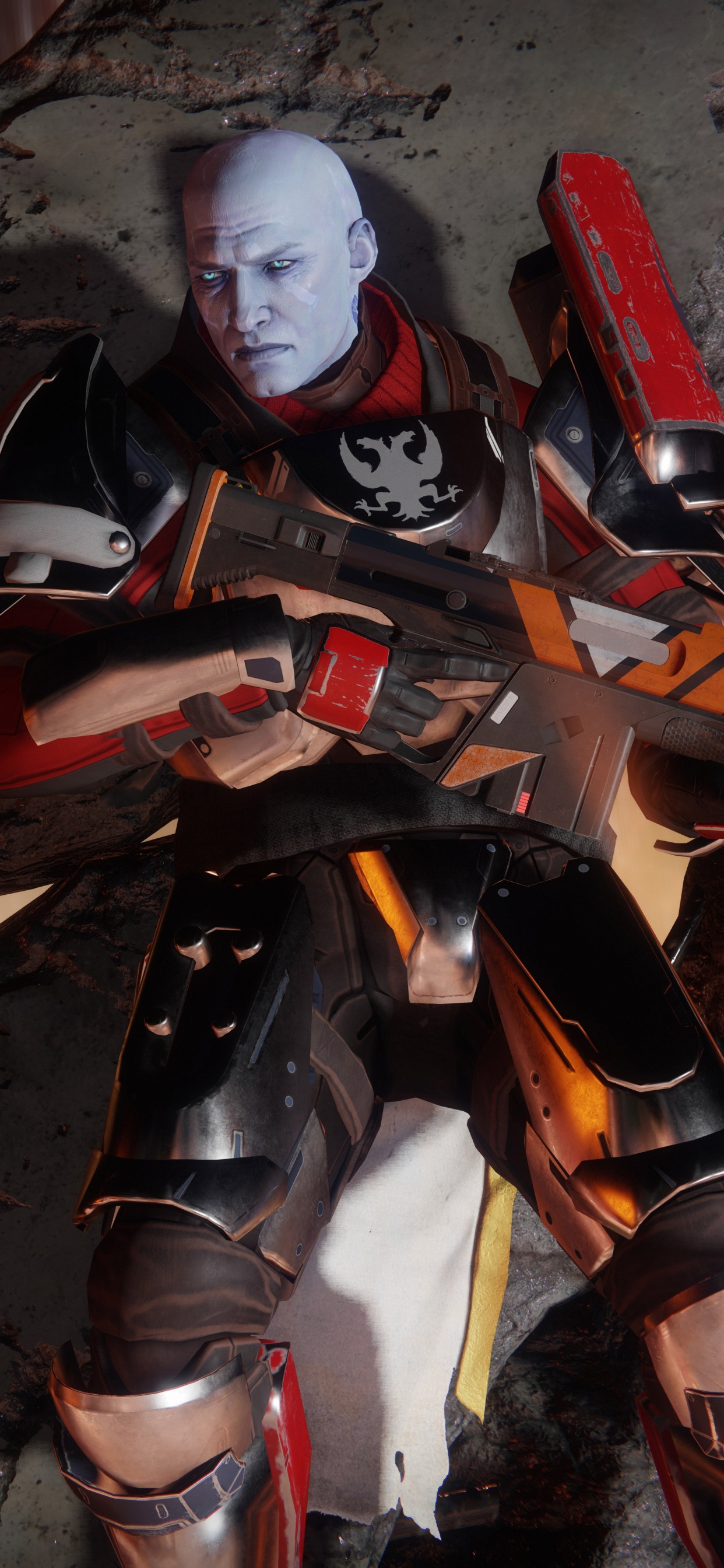 Bungie, Activision, Playstation 4, Juego de Pc, Armadura. Wallpaper in 1242x2688 Resolution