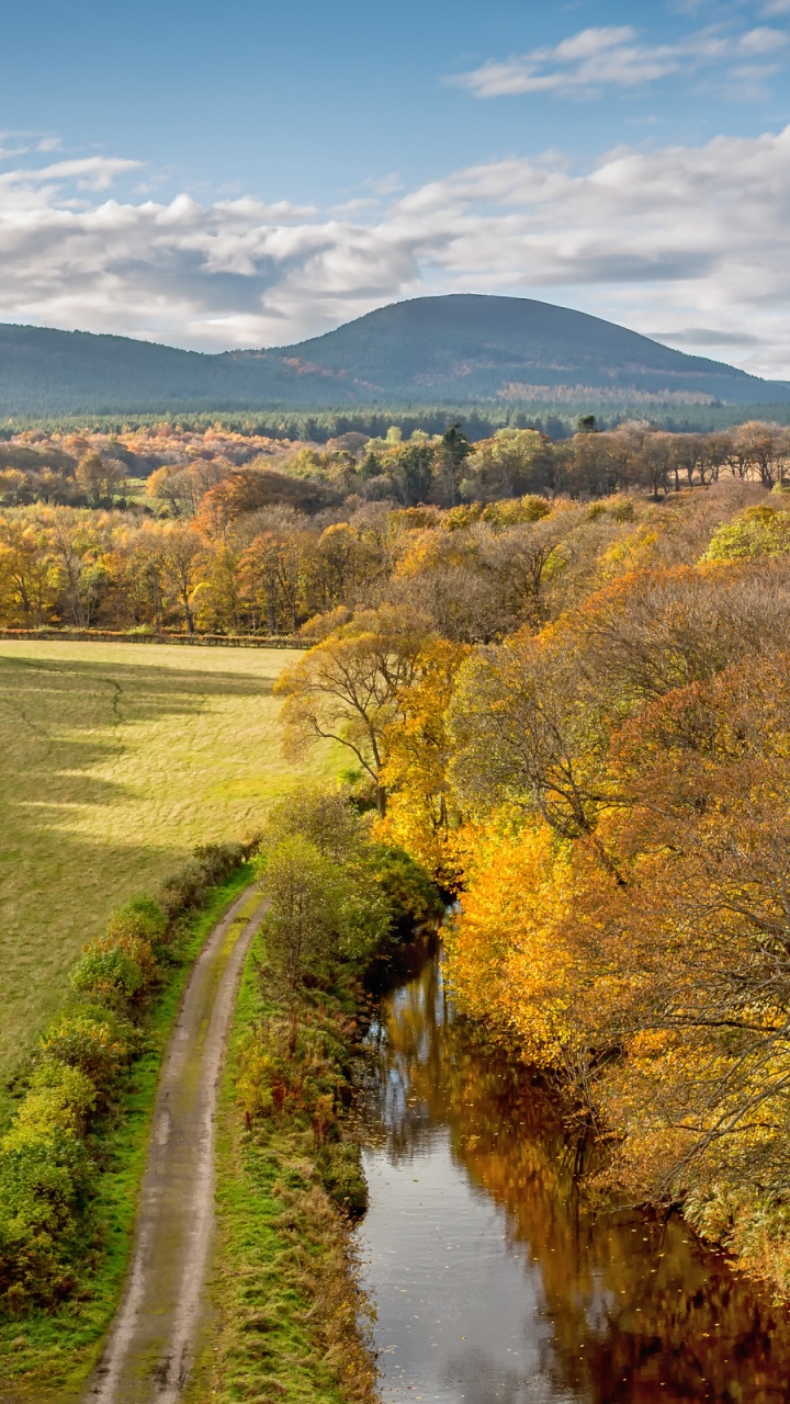 Champ D'herbe Verte Près de la Rivière Sous un Ciel Bleu Pendant la Journée. Wallpaper in 720x1280 Resolution