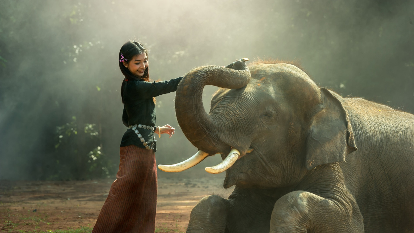 Femme en Blouson de Cuir Noir Debout à Côté de L'éléphant Pendant la Journée. Wallpaper in 1366x768 Resolution
