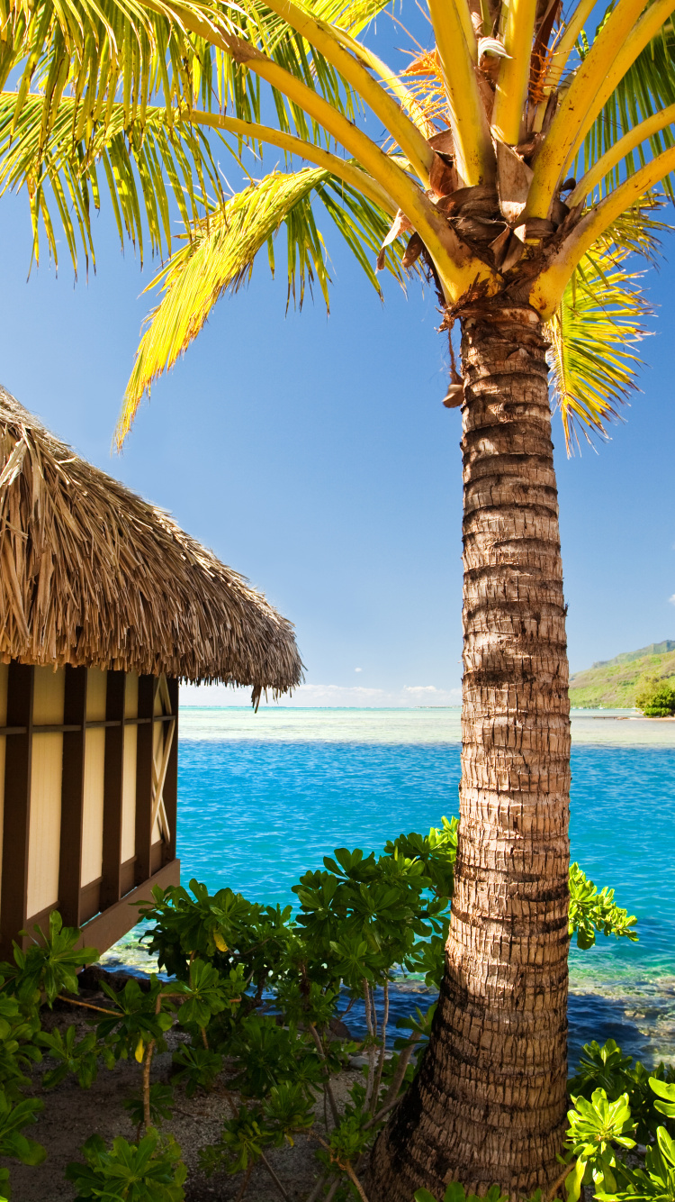 Braunes Holzhaus in Der Nähe Eines Gewässers Tagsüber. Wallpaper in 750x1334 Resolution