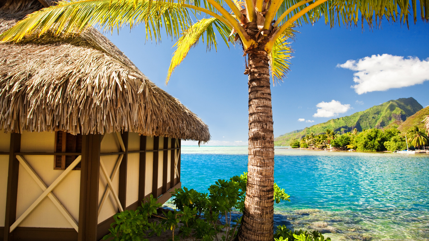 Brown Wooden House Near Body of Water During Daytime. Wallpaper in 1366x768 Resolution