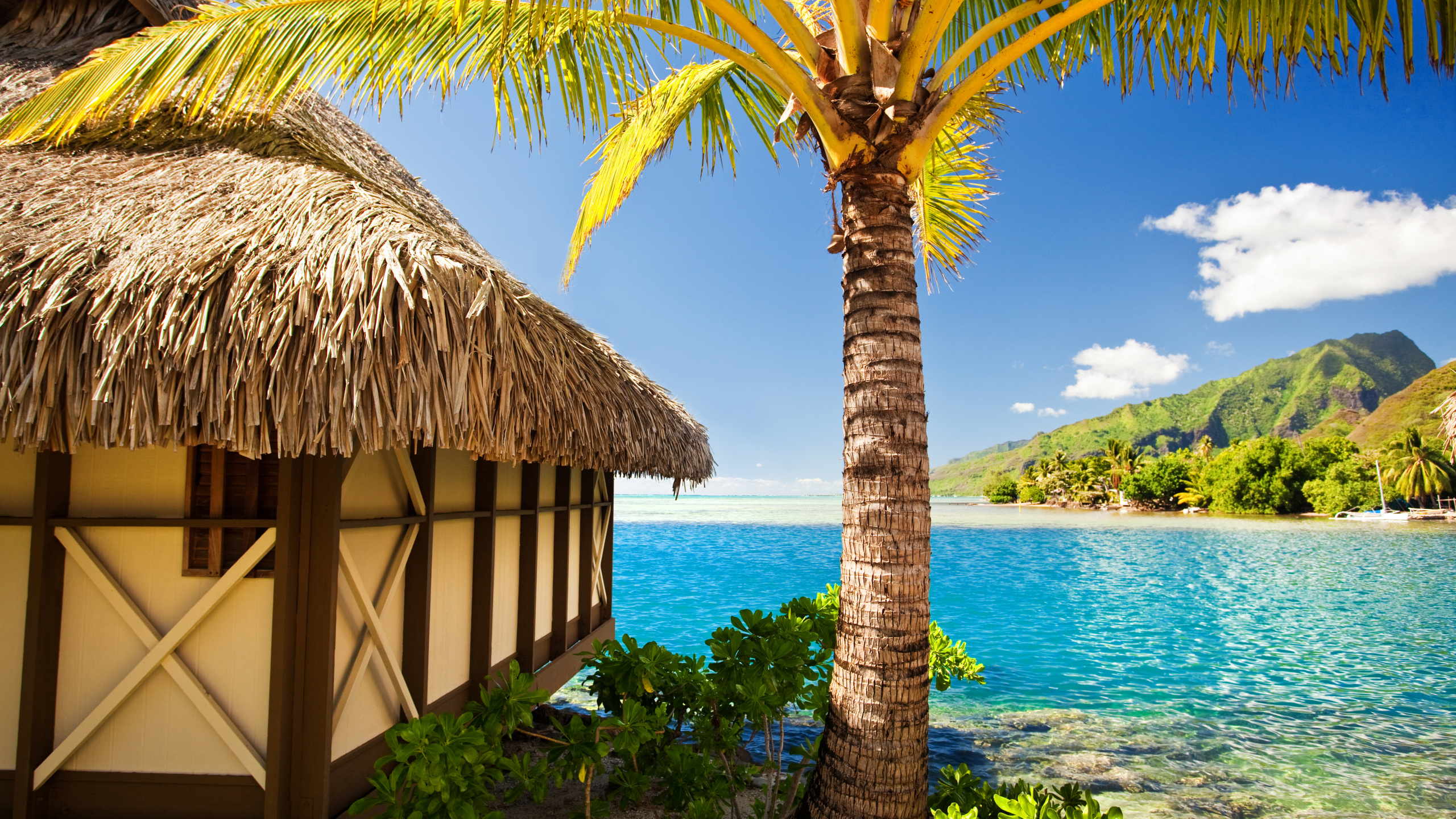 Brown Wooden House Near Body of Water During Daytime. Wallpaper in 2560x1440 Resolution