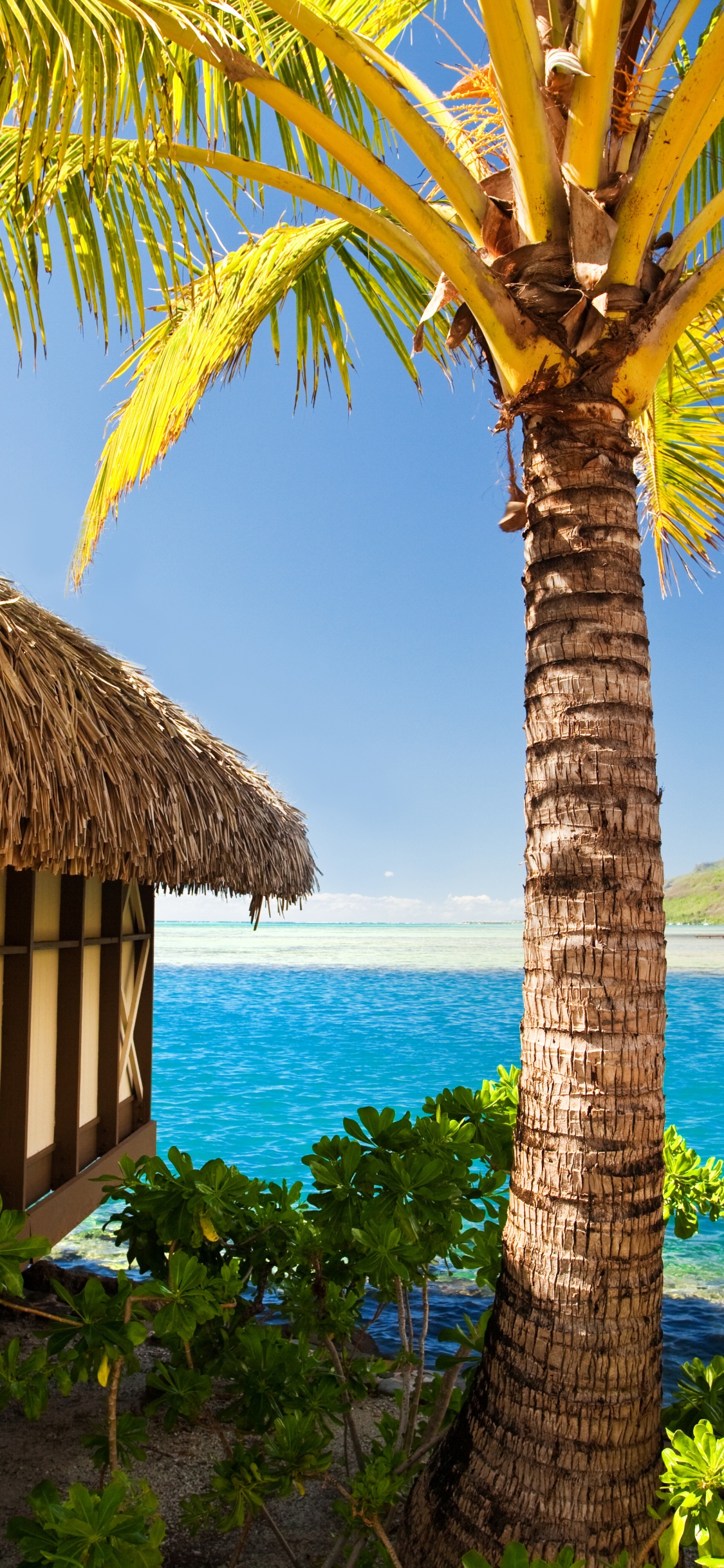 Casa de Madera Marrón Cerca Del Cuerpo de Agua Durante el Día. Wallpaper in 1125x2436 Resolution