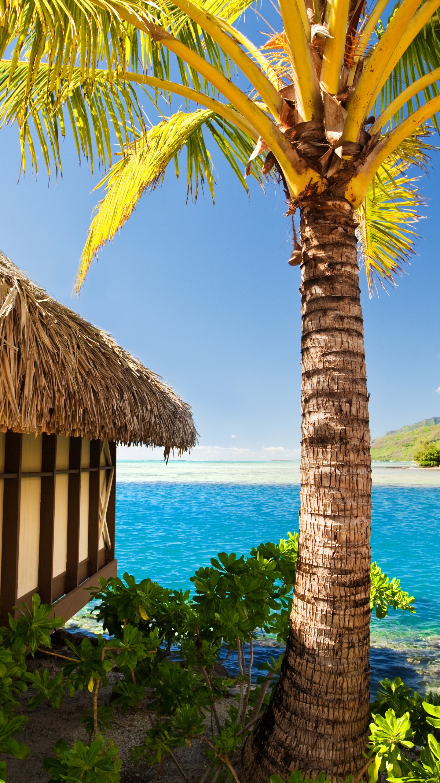 Casa de Madera Marrón Cerca Del Cuerpo de Agua Durante el Día. Wallpaper in 1440x2560 Resolution