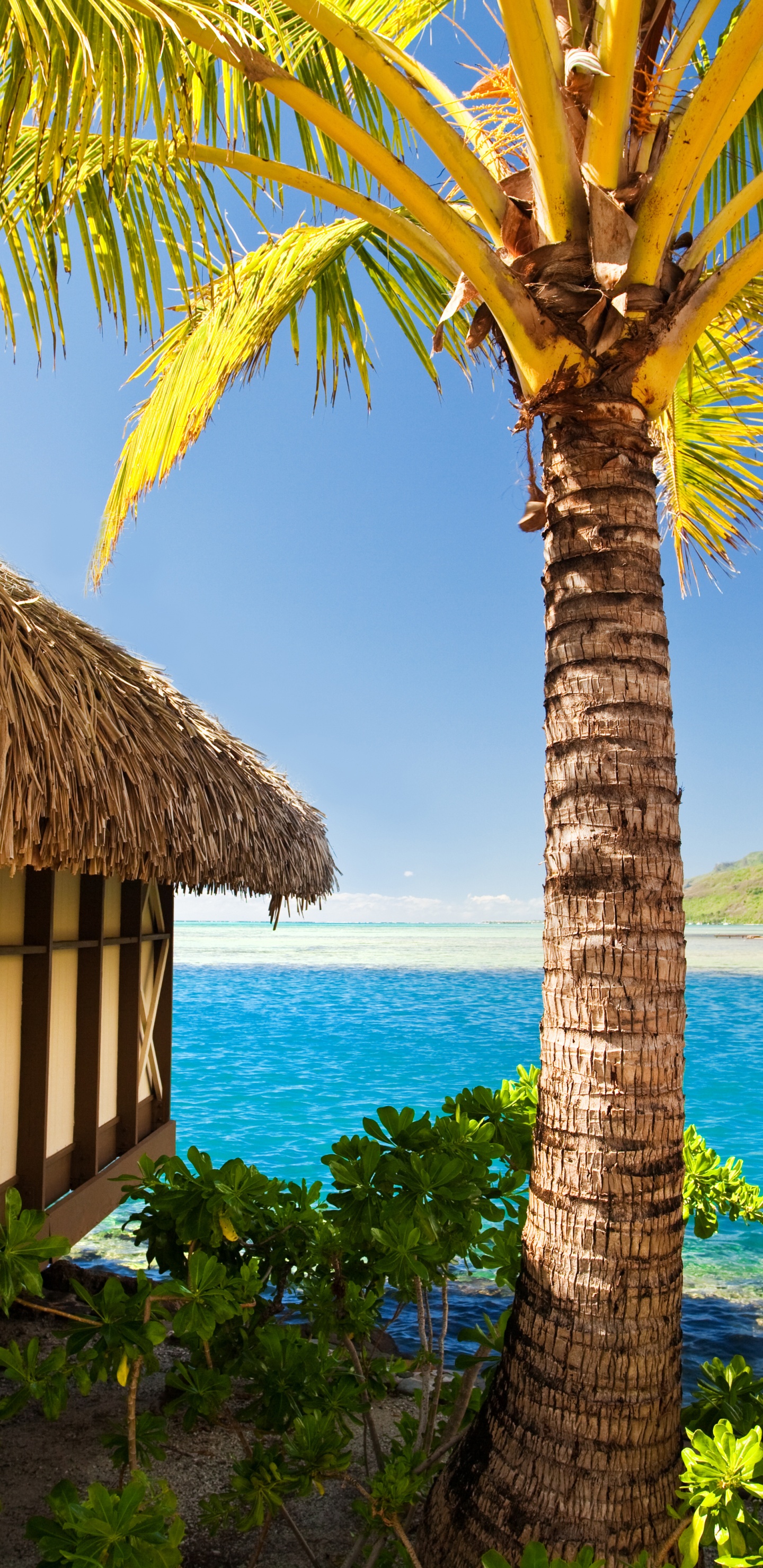 Casa de Madera Marrón Cerca Del Cuerpo de Agua Durante el Día. Wallpaper in 1440x2960 Resolution