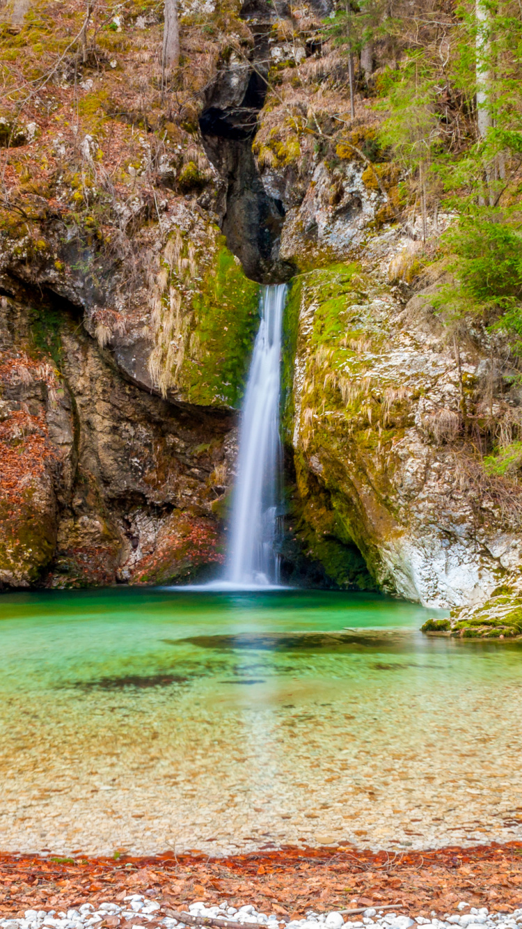 Cascadas en Medio Del Bosque Durante el Día. Wallpaper in 750x1334 Resolution