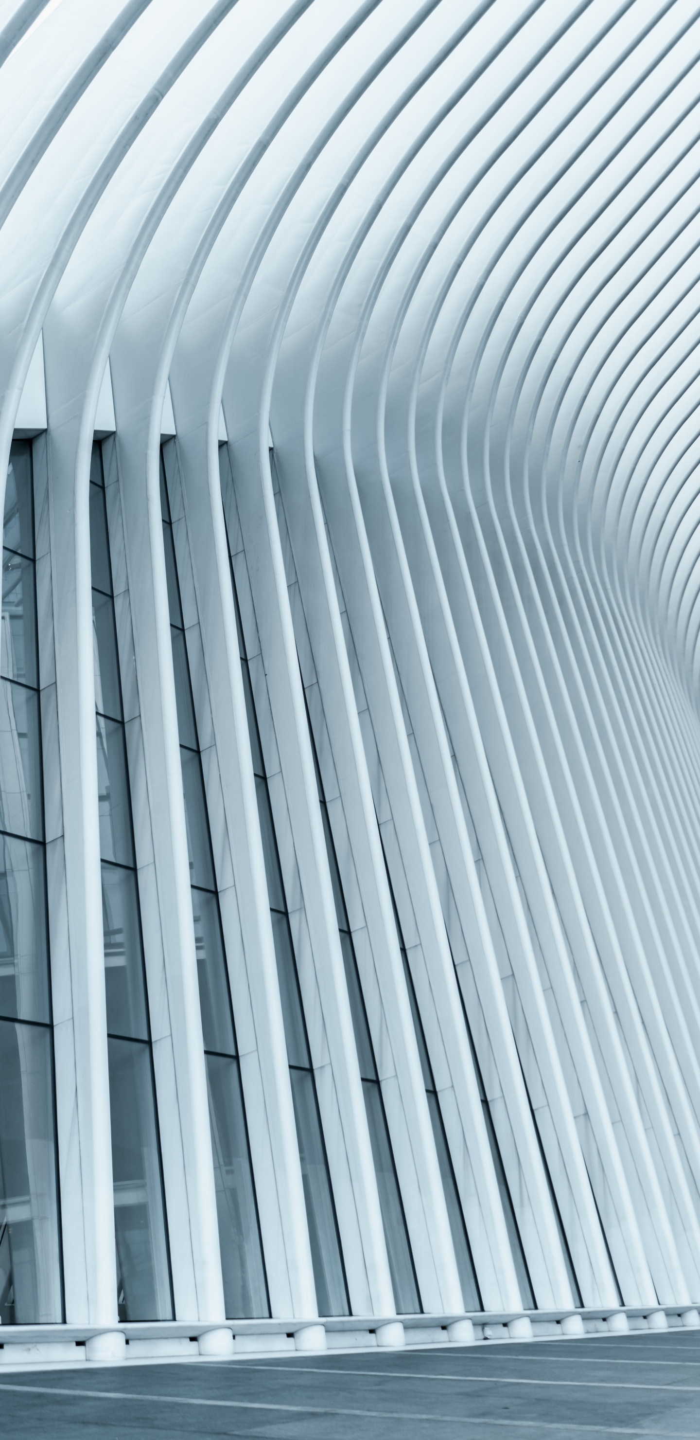 Bâtiment en Béton Blanc Pendant la Journée. Wallpaper in 1440x2960 Resolution