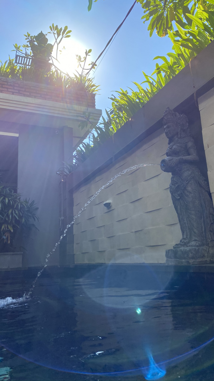 Bali, Reflexión, Piscina, Agua, Los Recursos de Agua. Wallpaper in 750x1334 Resolution