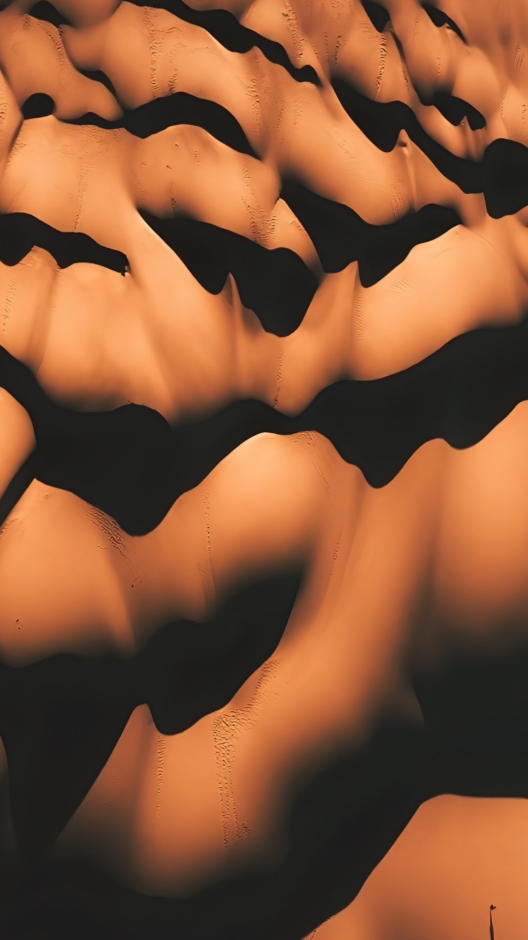 Close Up, Science, Human Biology, Biology, Human Skeleton. Wallpaper in 1080x1920 Resolution