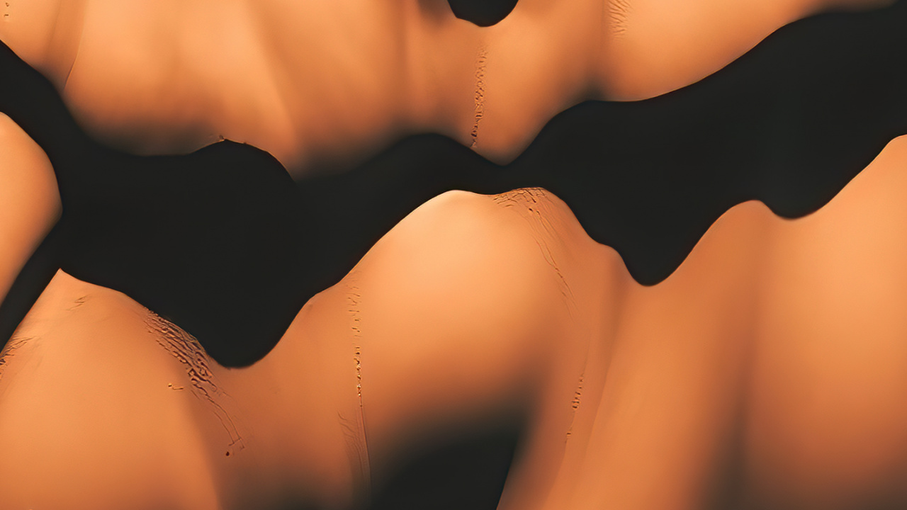 Close Up, Science, Human Biology, Biology, Human Skeleton. Wallpaper in 1280x720 Resolution