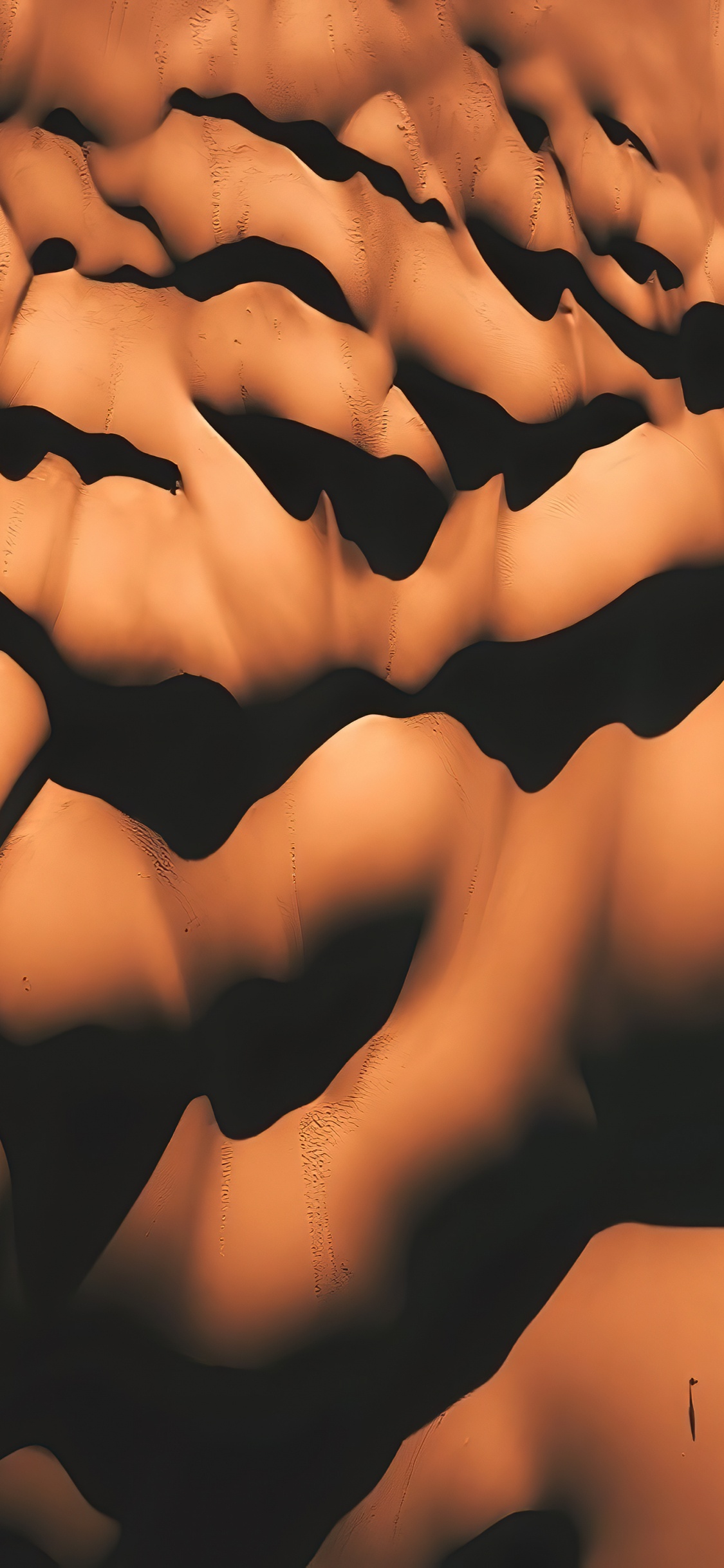 Close Up, Wissenschaft, Menschliche Biologie, Biologie, Menschliches Skelett. Wallpaper in 1125x2436 Resolution