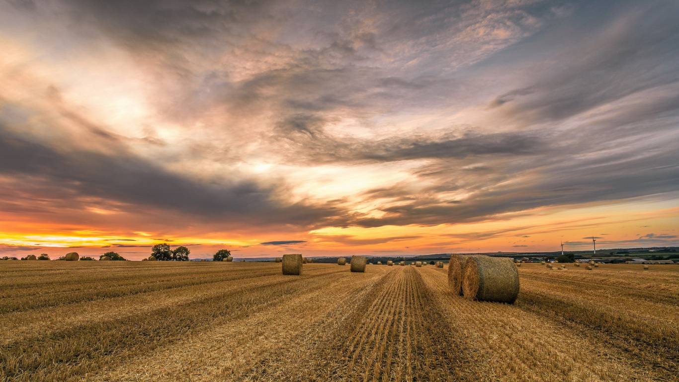 Braune Wiese Unter Bewölktem Himmel Tagsüber. Wallpaper in 1366x768 Resolution